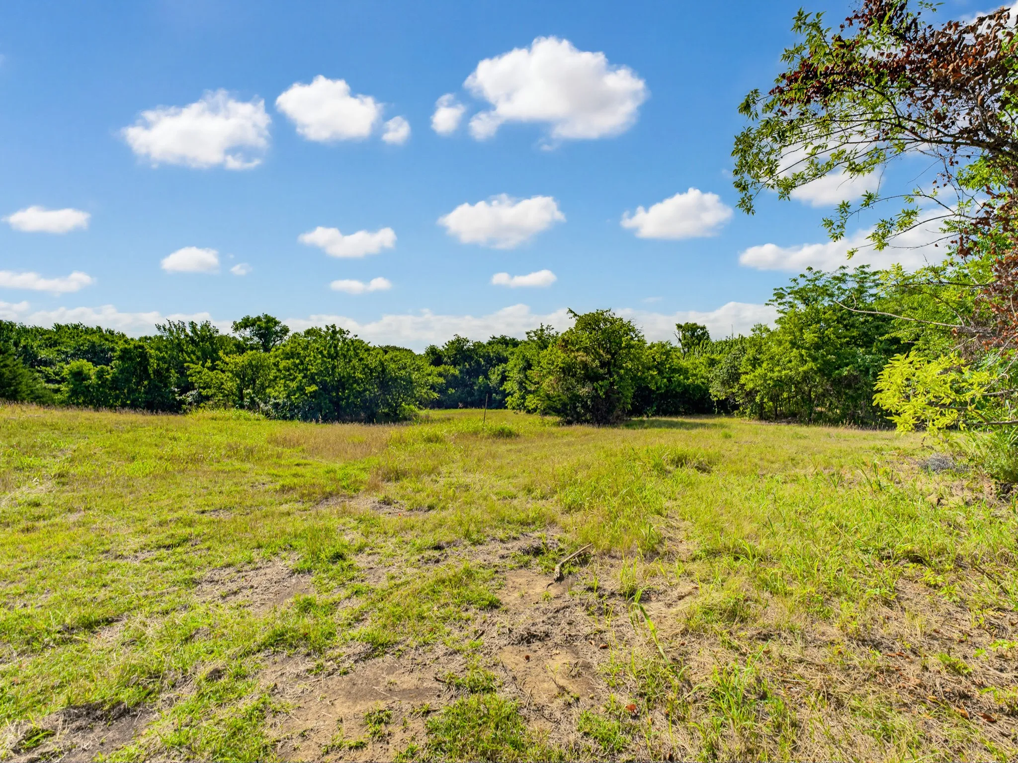 Unimproved Land For Sale in Wise County , 1300 S Trenchard Street, Decatur, Texas 76234, 0, 0, Garage spaces, 0 Sqft, built in 0, Price $2,500,000, mls#21284709, Real Estate Agent in Decatur, Homes For Sale in Wise county, Homes For Sale in Decatur, Realtor in Decatur Texas, Real Estate Brokerage Independent Realty Texas, Luminita Cordes Realtor