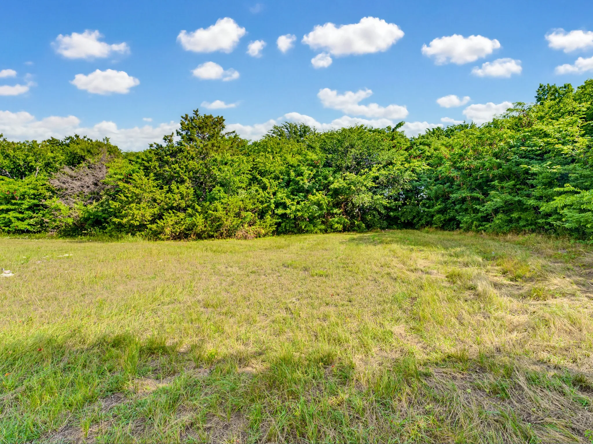Unimproved Land For Sale in Wise County , 1300 S Trenchard Street, Decatur, Texas 76234, 0, 0, Garage spaces, 0 Sqft, built in 0, Price $2,500,000, mls#21284709, Real Estate Agent in Decatur, Homes For Sale in Wise county, Homes For Sale in Decatur, Realtor in Decatur Texas, Real Estate Brokerage Independent Realty Texas, Luminita Cordes Realtor