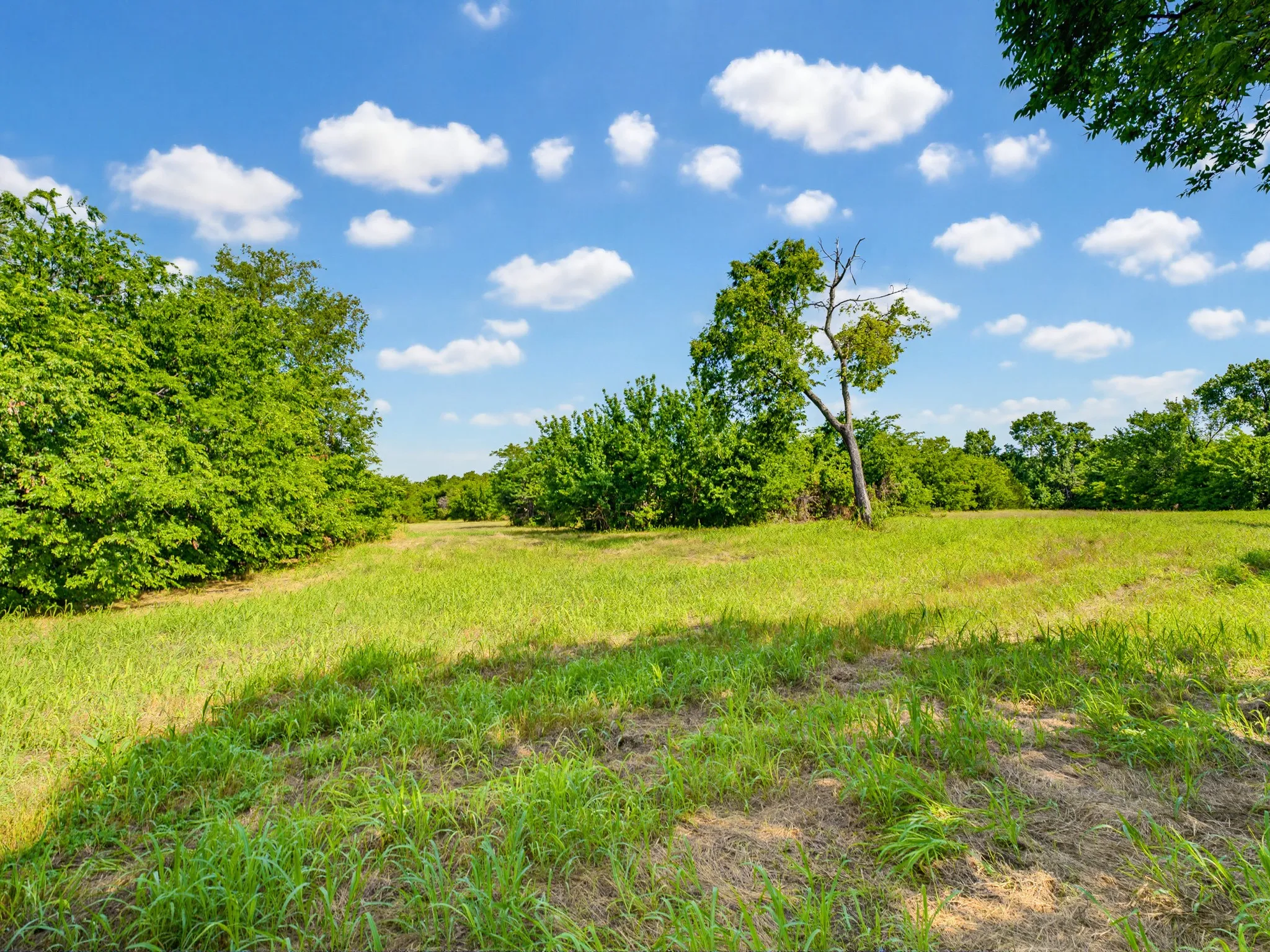 Unimproved Land For Sale in Wise County , 1300 S Trenchard Street, Decatur, Texas 76234, 0, 0, Garage spaces, 0 Sqft, built in 0, Price $2,500,000, mls#21284709, Real Estate Agent in Decatur, Homes For Sale in Wise county, Homes For Sale in Decatur, Realtor in Decatur Texas, Real Estate Brokerage Independent Realty Texas, Luminita Cordes Realtor