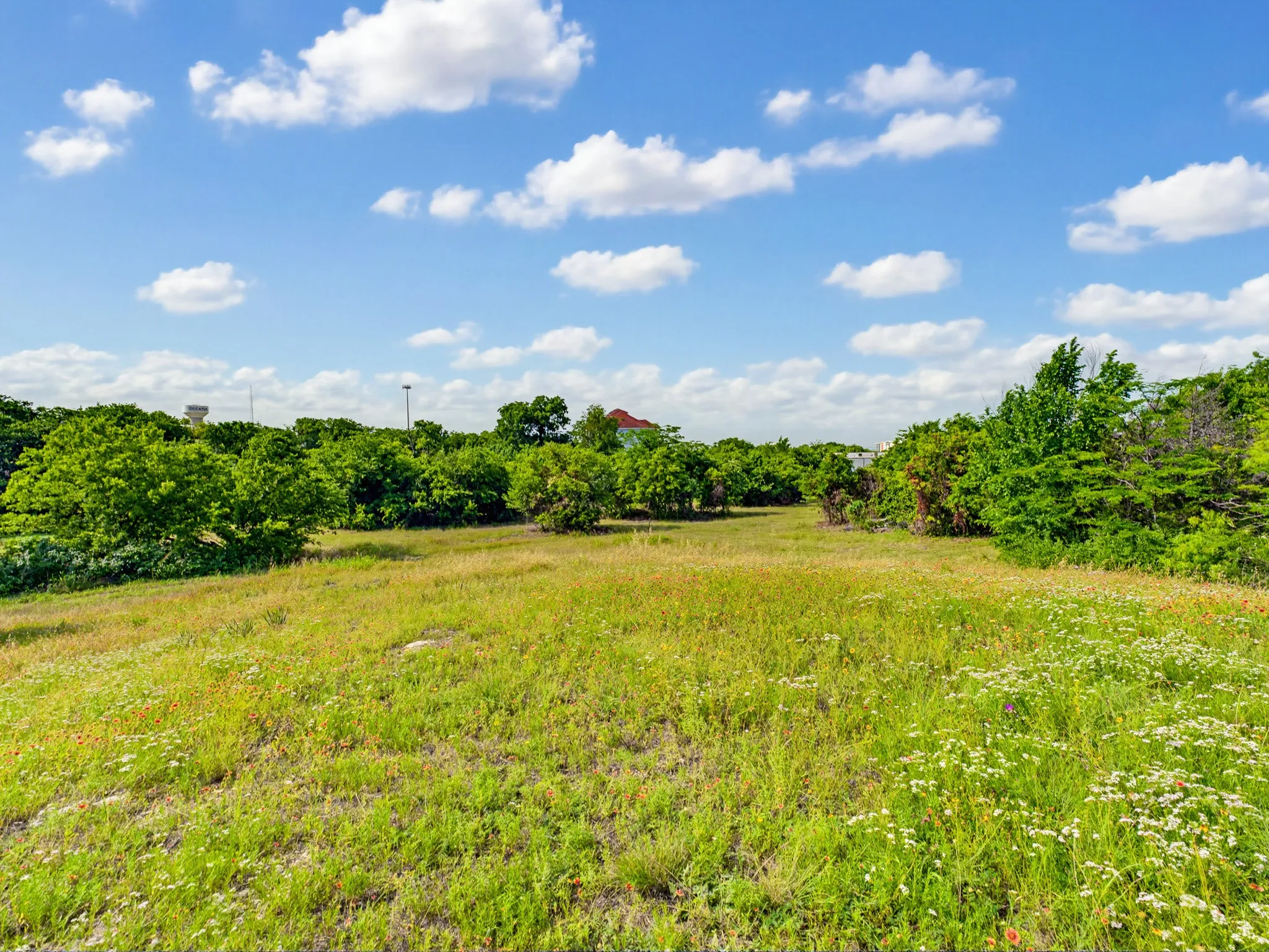 Unimproved Land For Sale in Wise County , 1300 S Trenchard Street, Decatur, Texas 76234, 0, 0, Garage spaces, 0 Sqft, built in 0, Price $2,500,000, mls#21284709, Real Estate Agent in Decatur, Homes For Sale in Wise county, Homes For Sale in Decatur, Realtor in Decatur Texas, Real Estate Brokerage Independent Realty Texas, Luminita Cordes Realtor