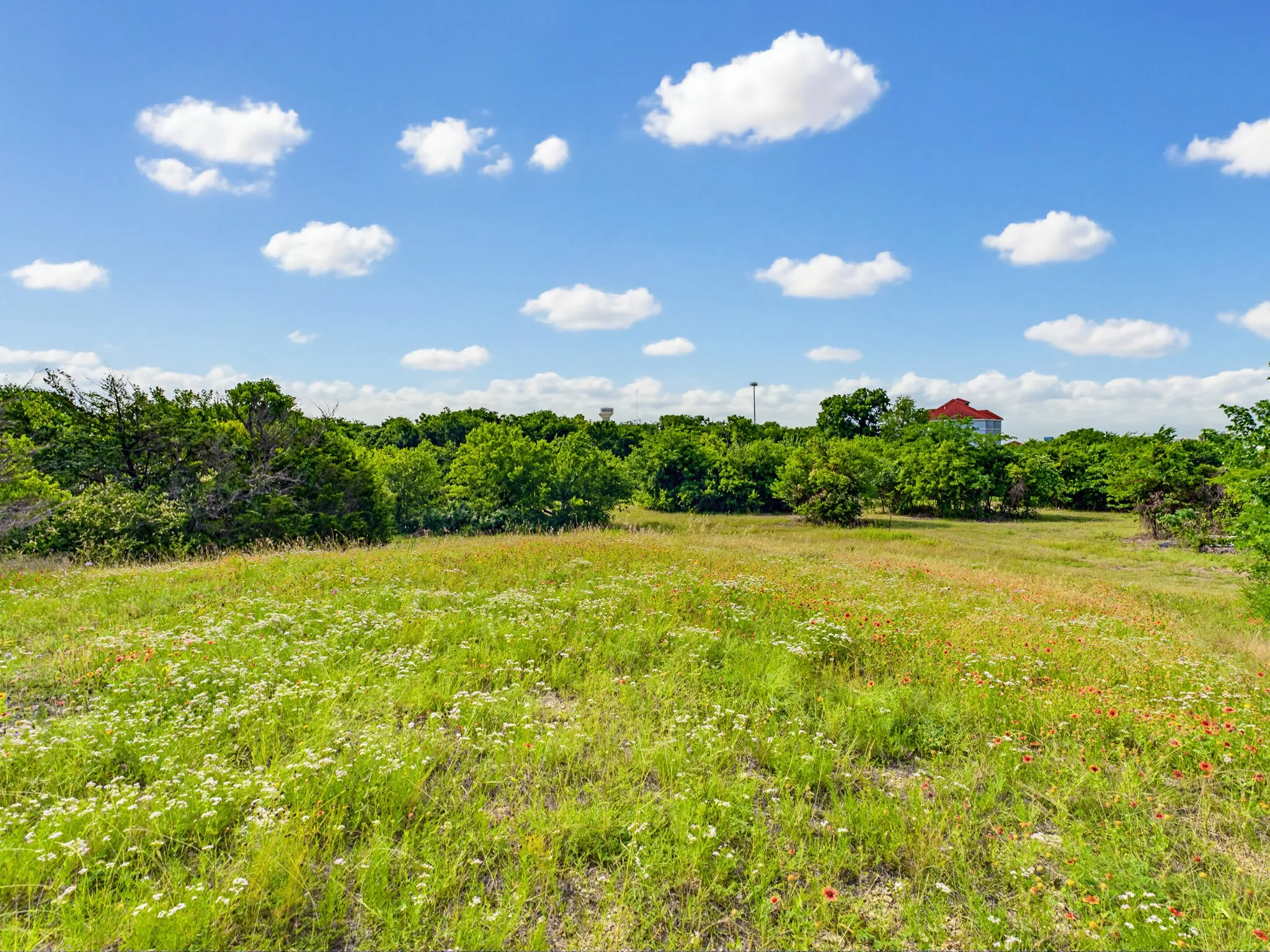 Unimproved Land For Sale in Wise County , 1300 S Trenchard Street, Decatur, Texas 76234, 0, 0, Garage spaces, 0 Sqft, built in 0, Price $2,500,000, mls#21284709, Real Estate Agent in Decatur, Homes For Sale in Wise county, Homes For Sale in Decatur, Realtor in Decatur Texas, Real Estate Brokerage Independent Realty Texas, Luminita Cordes Realtor