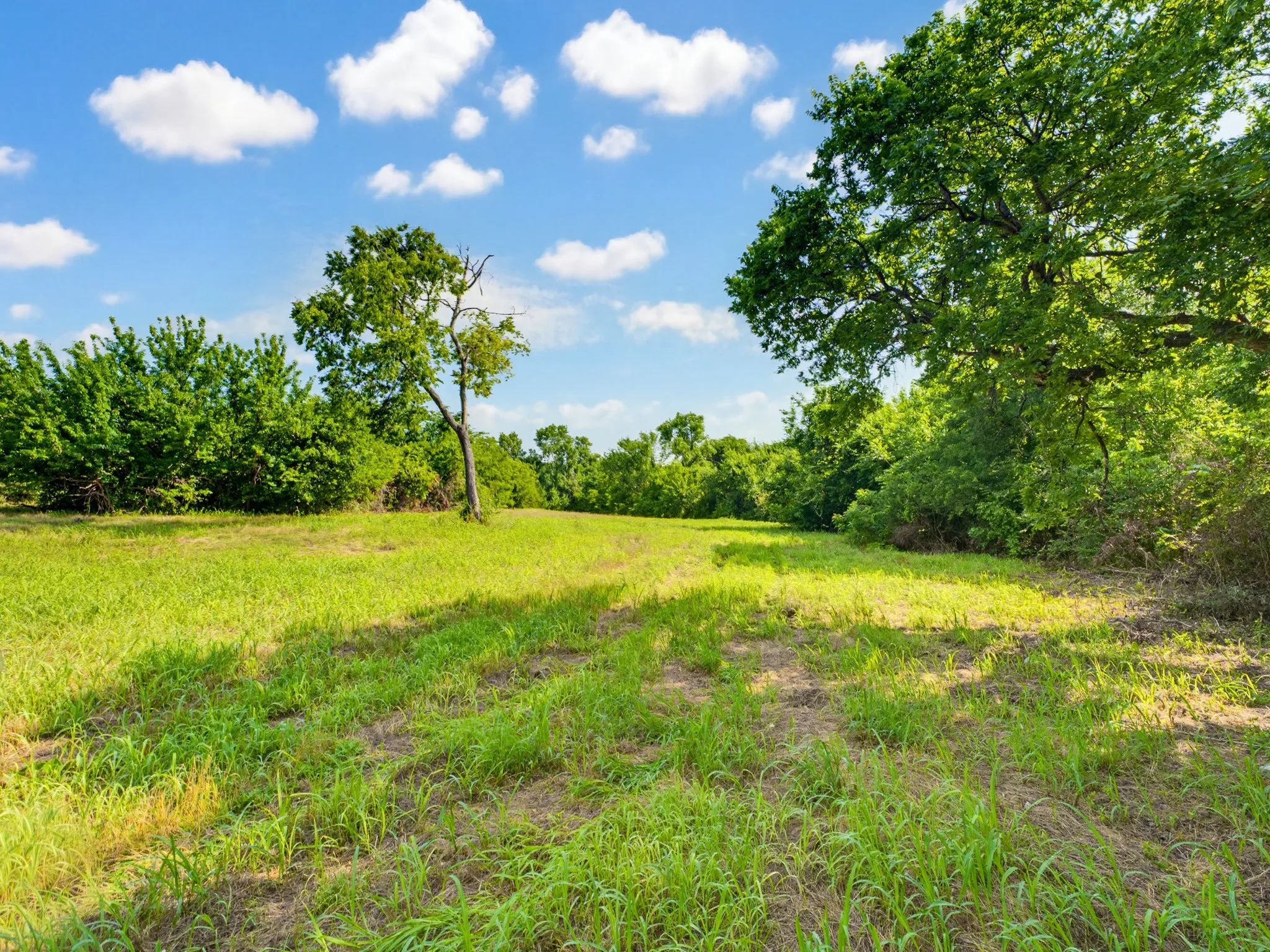 Unimproved Land For Sale in Wise County , 1300 S Trenchard Street, Decatur, Texas 76234, 0, 0, Garage spaces, 0 Sqft, built in 0, Price $2,500,000, mls#21284709, Real Estate Agent in Decatur, Homes For Sale in Wise county, Homes For Sale in Decatur, Realtor in Decatur Texas, Real Estate Brokerage Independent Realty Texas, Luminita Cordes Realtor