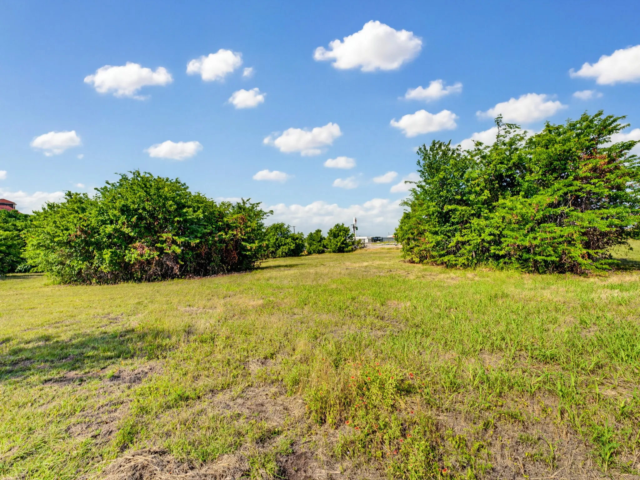 Unimproved Land For Sale in Wise County , 1300 S Trenchard Street, Decatur, Texas 76234, 0, 0, Garage spaces, 0 Sqft, built in 0, Price $2,500,000, mls#21284709, Real Estate Agent in Decatur, Homes For Sale in Wise county, Homes For Sale in Decatur, Realtor in Decatur Texas, Real Estate Brokerage Independent Realty Texas, Luminita Cordes Realtor