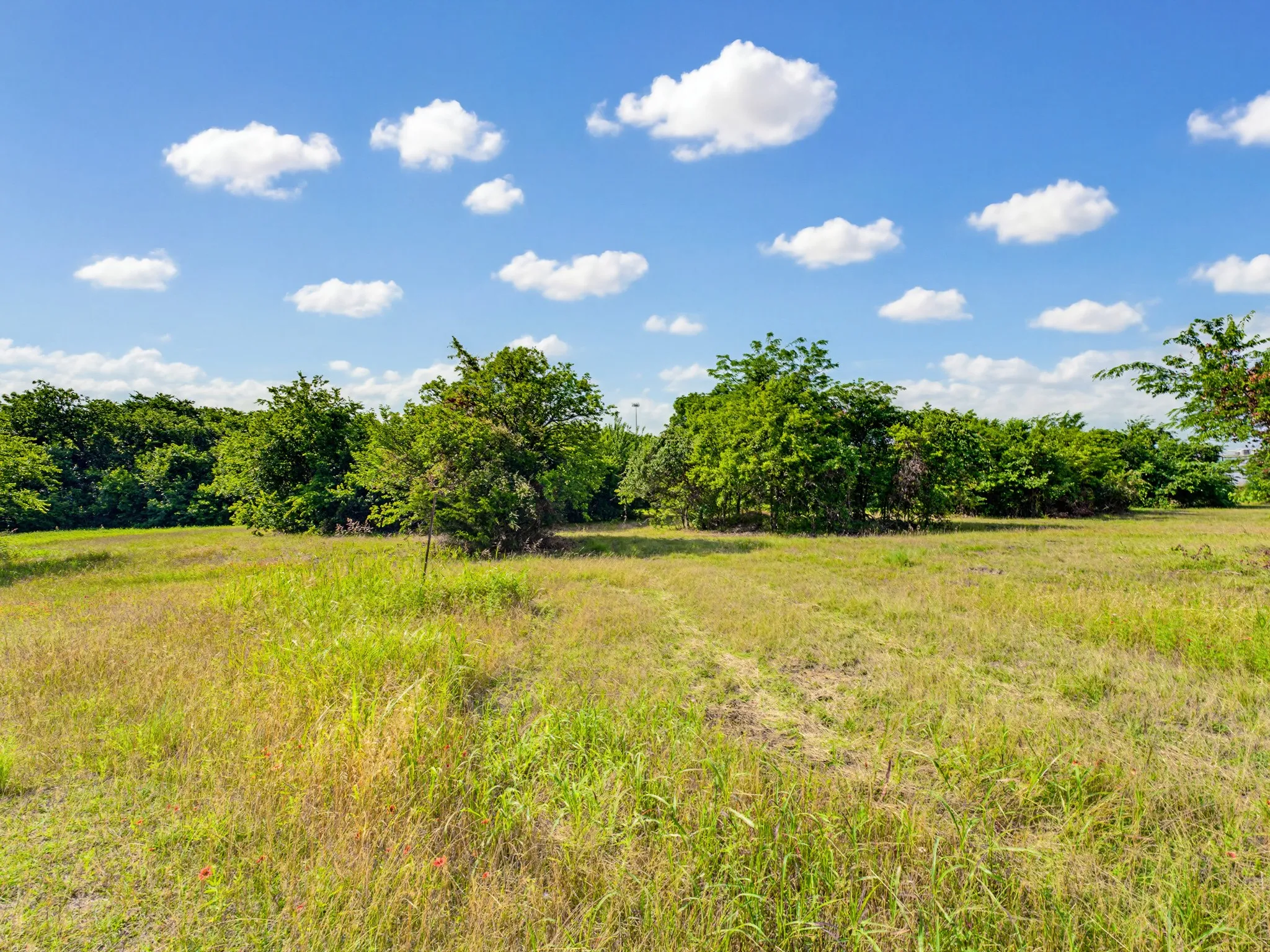Unimproved Land For Sale in Wise County , 1300 S Trenchard Street, Decatur, Texas 76234, 0, 0, Garage spaces, 0 Sqft, built in 0, Price $2,500,000, mls#21284709, Real Estate Agent in Decatur, Homes For Sale in Wise county, Homes For Sale in Decatur, Realtor in Decatur Texas, Real Estate Brokerage Independent Realty Texas, Luminita Cordes Realtor