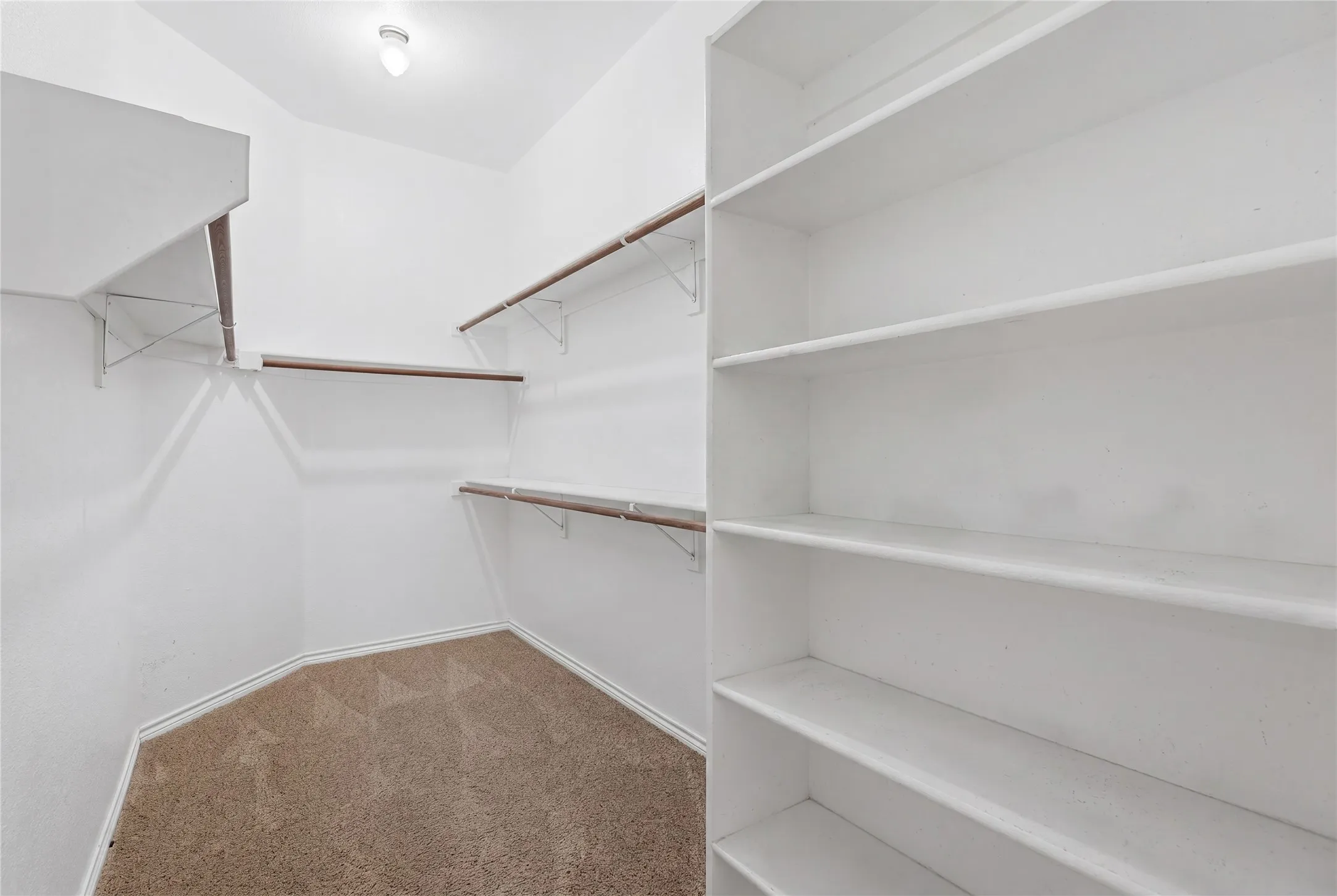 Spacious walk-in closet featuring white walls, light brown carpet flooring, and extensive shelving
