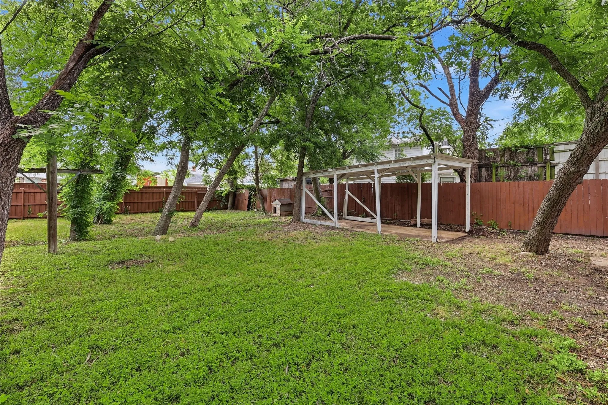 Expansive backyard featuring a lush green lawn, mature trees providing natural shade, a white wooden covered structure, and a perimeter wood fence
