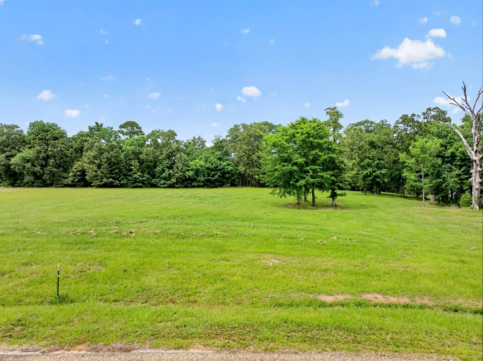 Unimproved Land For Sale in Titus County , Lot 75 Pr 2712, Mt Pleasant, Texas 75455, 0, 0, Garage spaces, 0 Sqft, built in 0, mls#21284286, Real Estate Agent in Mt Pleasant, Homes For Sale in Titus county, Homes For Sale in Mt Pleasant, Realtor in Mt Pleasant Texas, Real Estate Brokerage Independent Realty Texas, Luminita Cordes Realtor