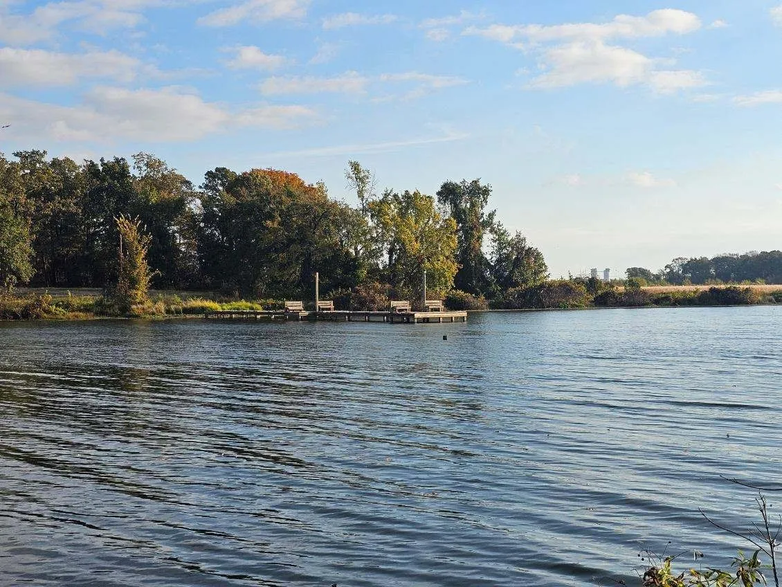 Waterfront property featuring a wooden dock with benches, surrounded by mature trees and a serene body of water