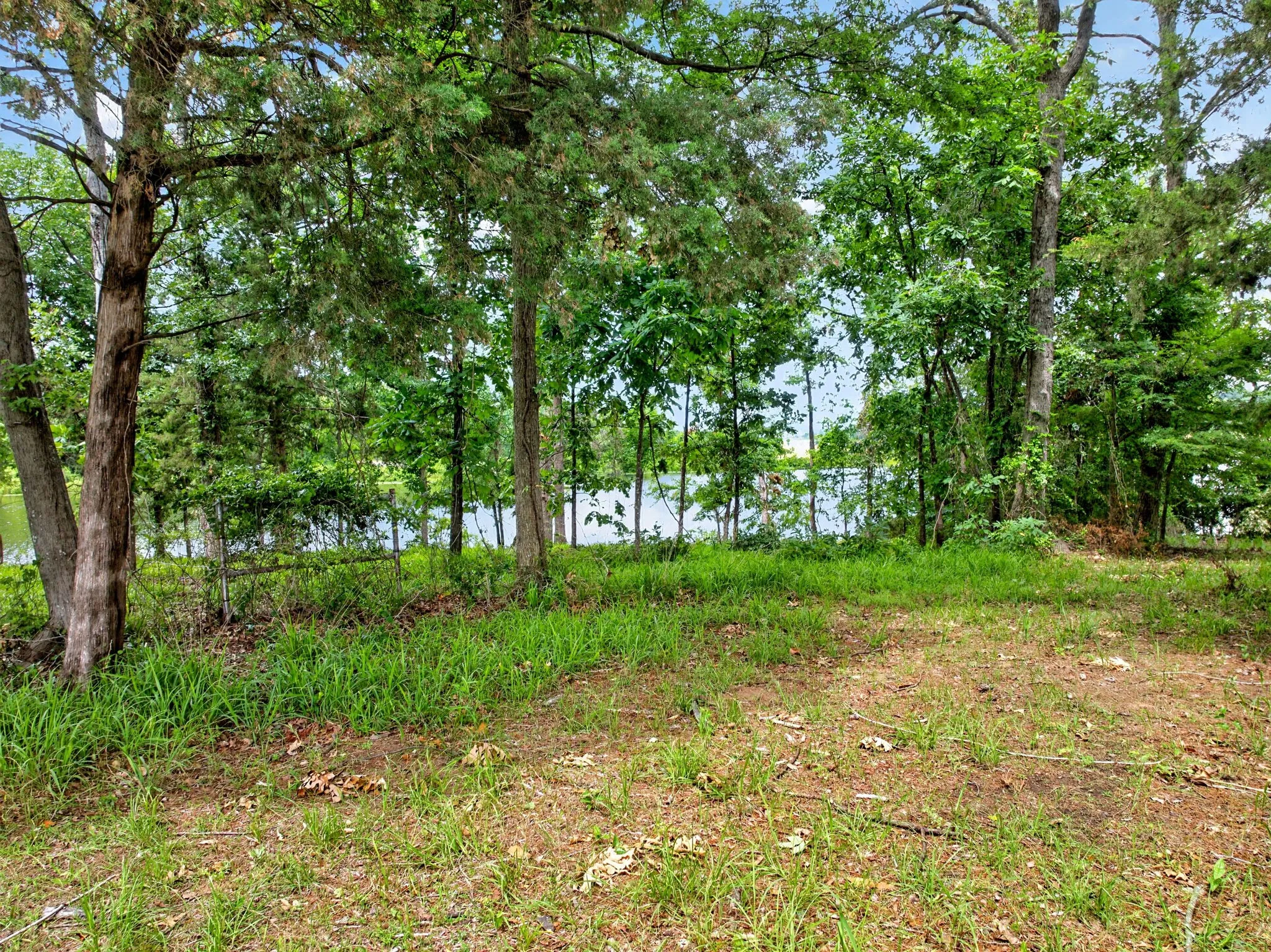 Wooded lot featuring mature trees and partial water visibility