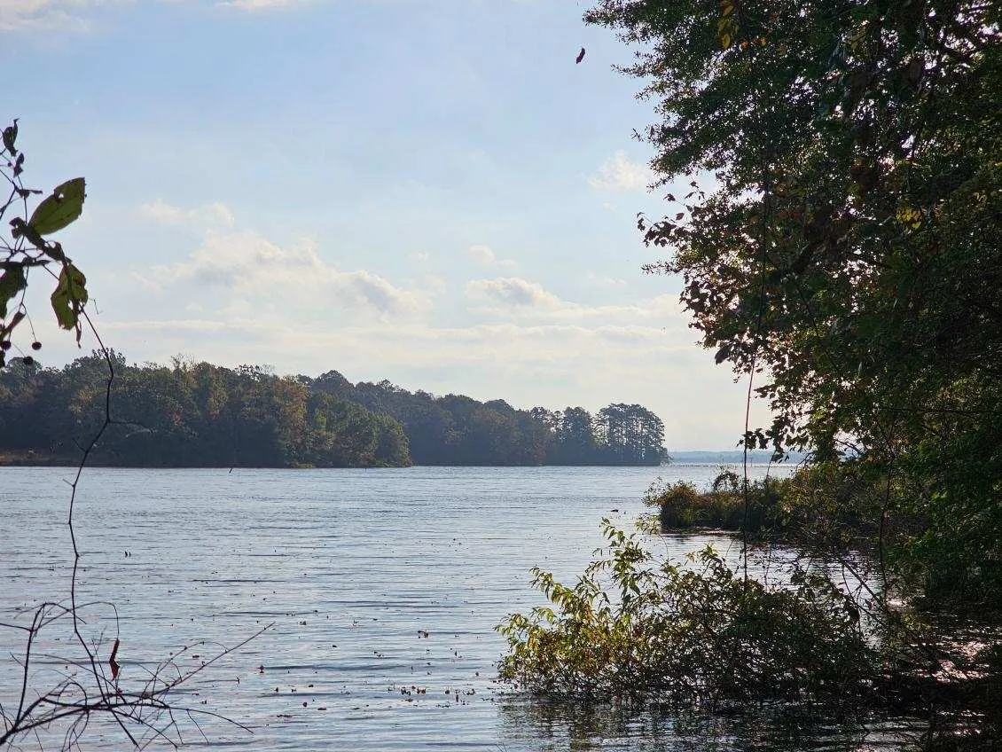 Expansive water frontage with mature trees bordering the shore
