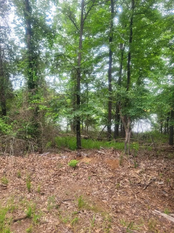 Wooded property featuring mature trees and natural ground cover