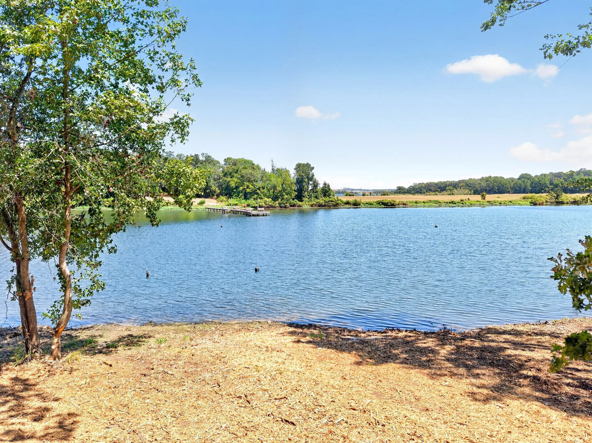 Waterfront setting with a visible dock structure and mature trees