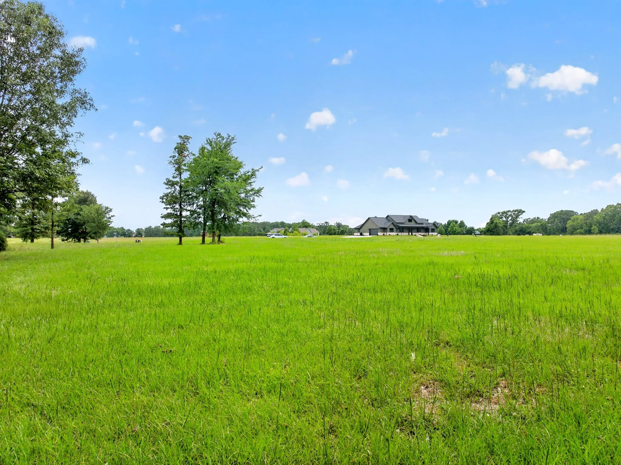 Unimproved Land For Sale in Titus County , Lot 75 Pr 2712, Mt Pleasant, Texas 75455, 0, 0, Garage spaces, 0 Sqft, built in 0, mls#21284286, Real Estate Agent in Mt Pleasant, Homes For Sale in Titus county, Homes For Sale in Mt Pleasant, Realtor in Mt Pleasant Texas, Real Estate Brokerage Independent Realty Texas, Luminita Cordes Realtor