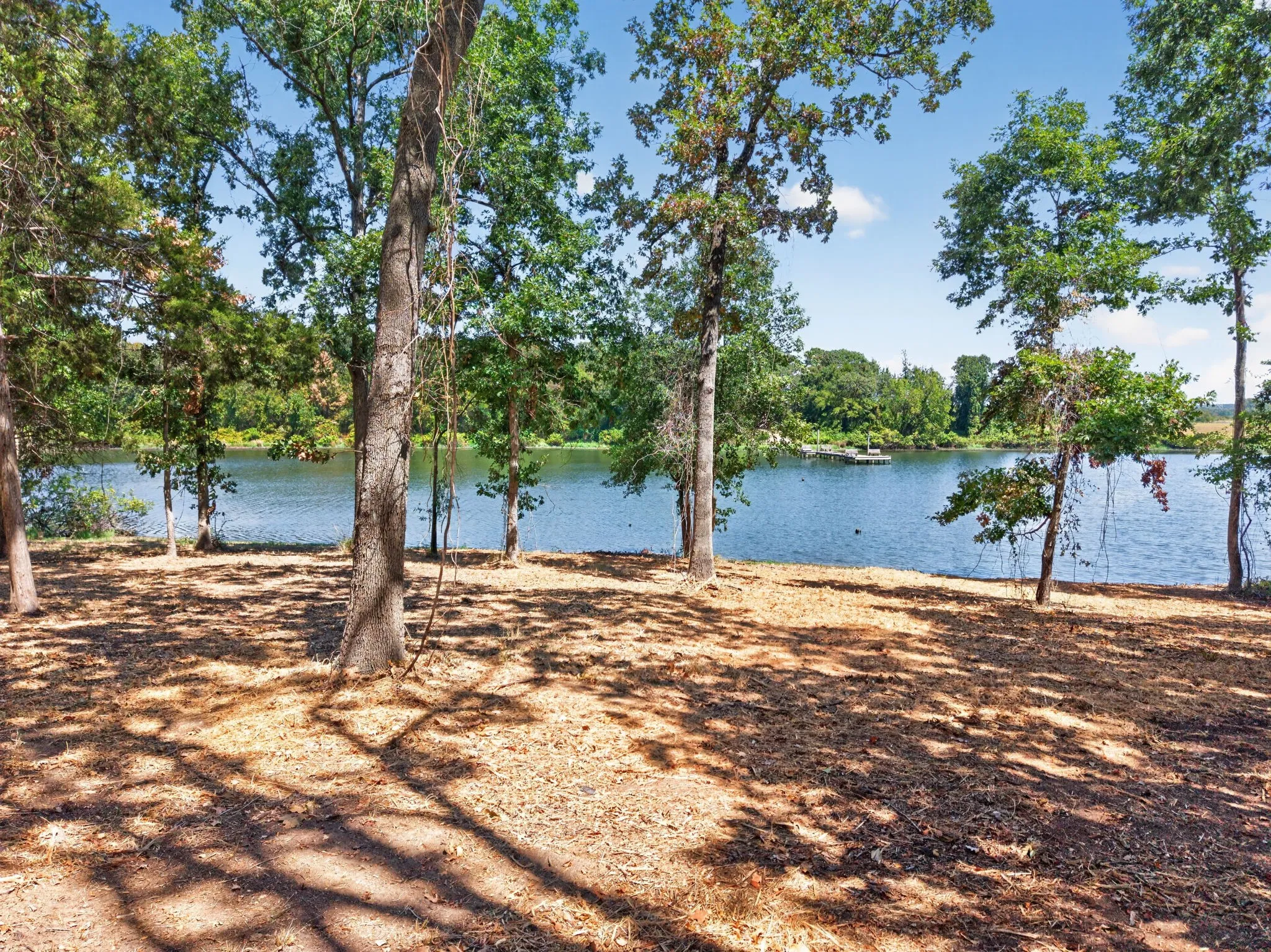 Waterfront property with mature trees, a natural shoreline, and a distant floating dock