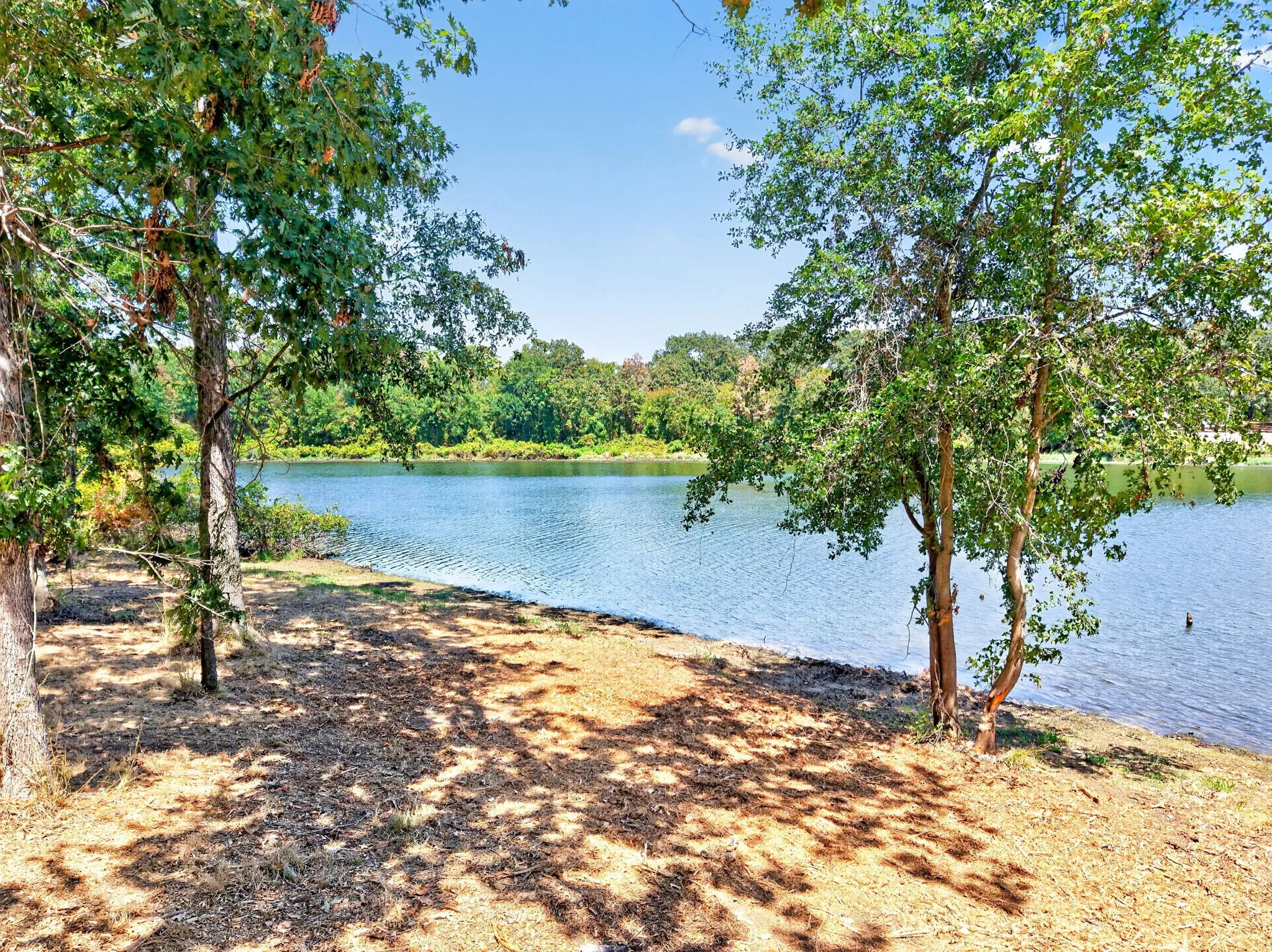 Lakefront property with mature trees and a natural shoreline