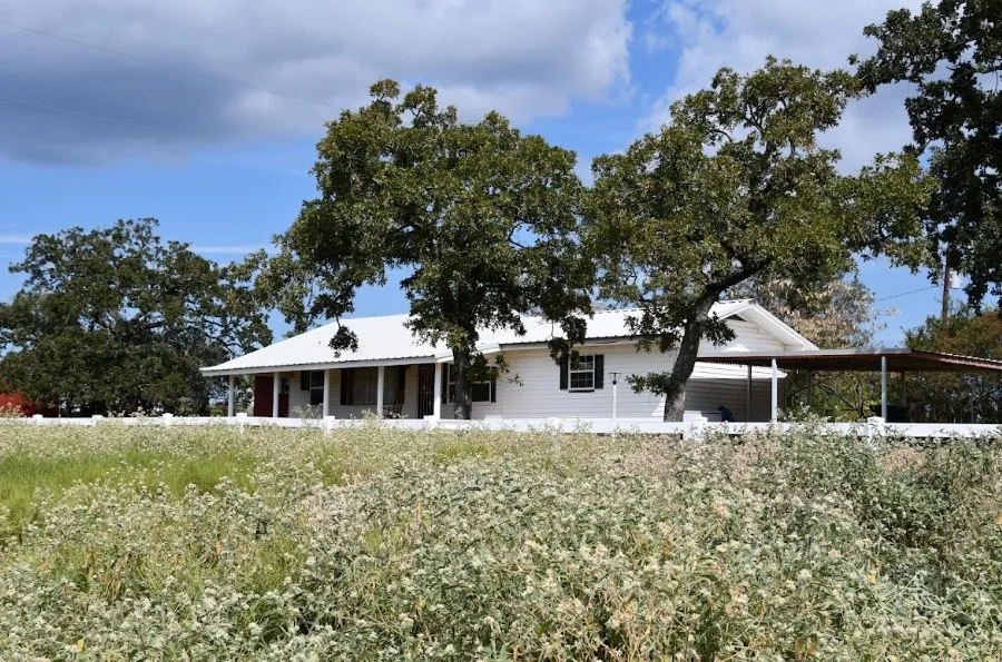 Improved Land For Sale in Freestone County , 190 Private Road 408, Buffalo, Texas 75831, 0, 0, Garage spaces, 0 Sqft, built in 1980, mls#21284864, Real Estate Agent in Buffalo, Homes For Sale in Freestone county, Homes For Sale in Buffalo, Realtor in Buffalo Texas, Real Estate Brokerage Independent Realty Texas, Luminita Cordes Realtor