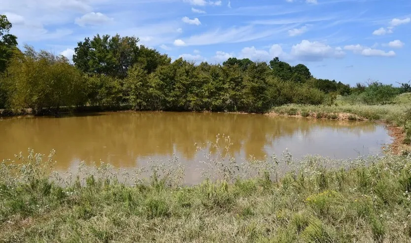 Improved Land For Sale in Freestone County , 190 Private Road 408, Buffalo, Texas 75831, 0, 0, Garage spaces, 0 Sqft, built in 1980, mls#21284864, Real Estate Agent in Buffalo, Homes For Sale in Freestone county, Homes For Sale in Buffalo, Realtor in Buffalo Texas, Real Estate Brokerage Independent Realty Texas, Luminita Cordes Realtor