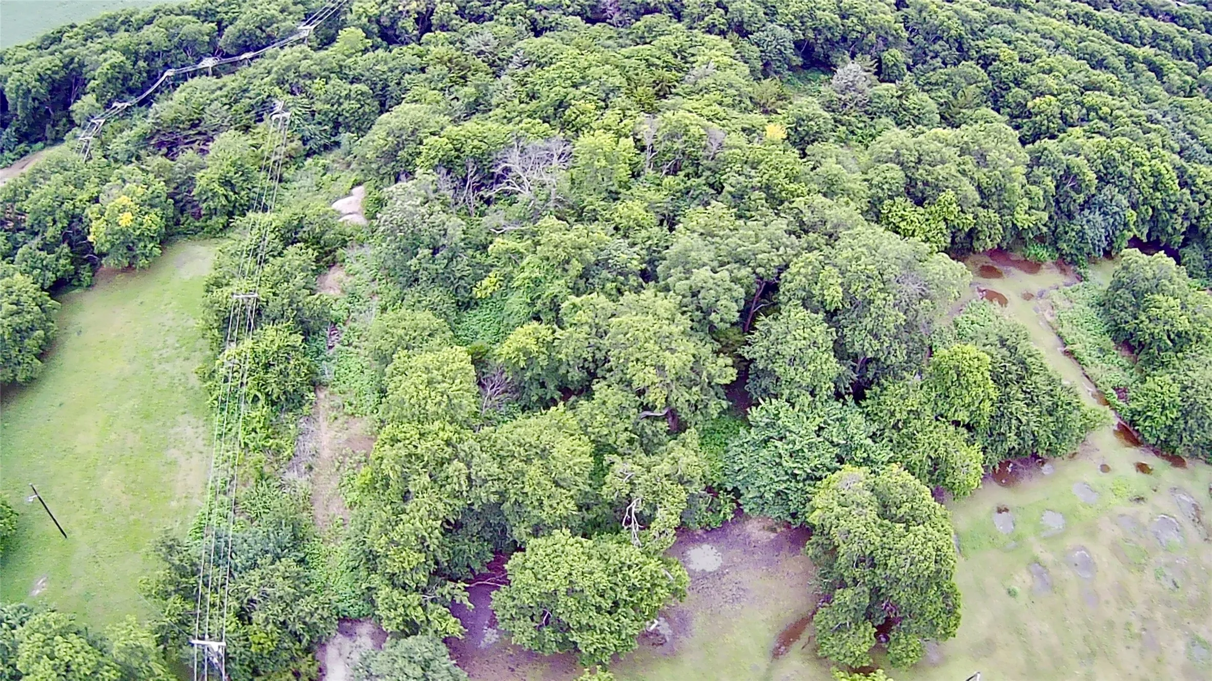 Unimproved Land For Sale in Collin County , 311 Eve Street, Nevada, Texas 75173, 0, 0, Garage spaces, 0 Sqft, built in 0, Price $77,000, mls#21284912, Real Estate Agent in Nevada, Homes For Sale in Collin county, Homes For Sale in Nevada, Realtor in Nevada Texas, Real Estate Brokerage Independent Realty Texas, Luminita Cordes Realtor