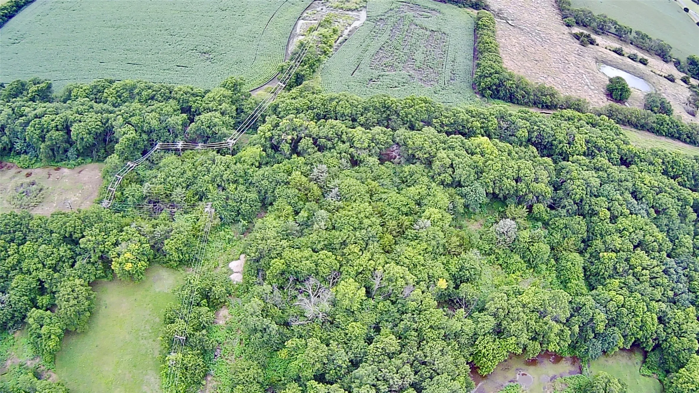 Unimproved Land For Sale in Collin County , 311 Eve Street, Nevada, Texas 75173, 0, 0, Garage spaces, 0 Sqft, built in 0, Price $77,000, mls#21284912, Real Estate Agent in Nevada, Homes For Sale in Collin county, Homes For Sale in Nevada, Realtor in Nevada Texas, Real Estate Brokerage Independent Realty Texas, Luminita Cordes Realtor