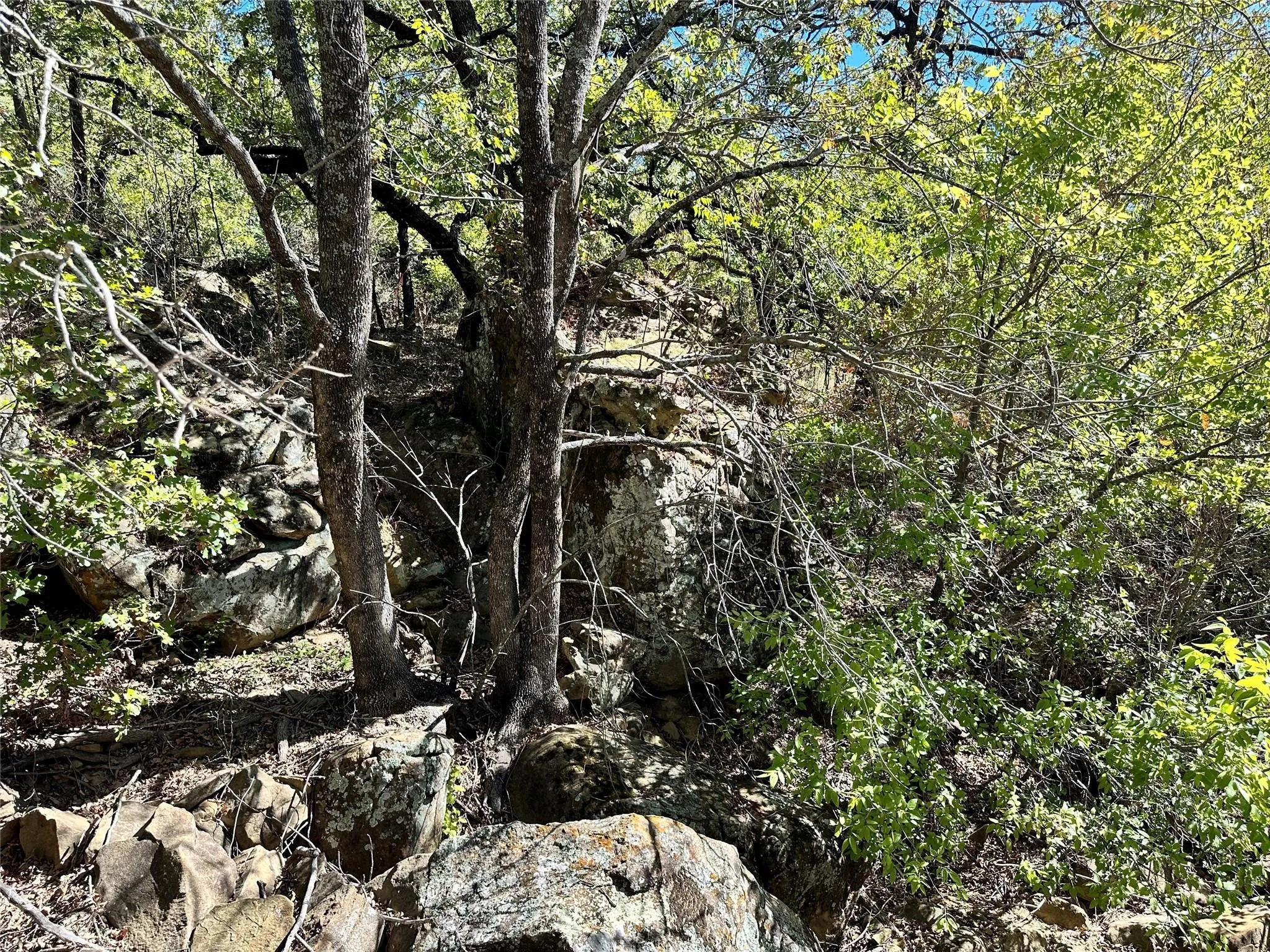 Unimproved Land For Sale in Montague County , TBD2 Ranchview Court, Bowie, Texas 76230, 0, 0, Garage spaces, 0 Sqft, built in 0, mls#21284931, Real Estate Agent in Bowie, Homes For Sale in Montague county, Homes For Sale in Bowie, Realtor in Bowie Texas, Real Estate Brokerage Independent Realty Texas, Luminita Cordes Realtor