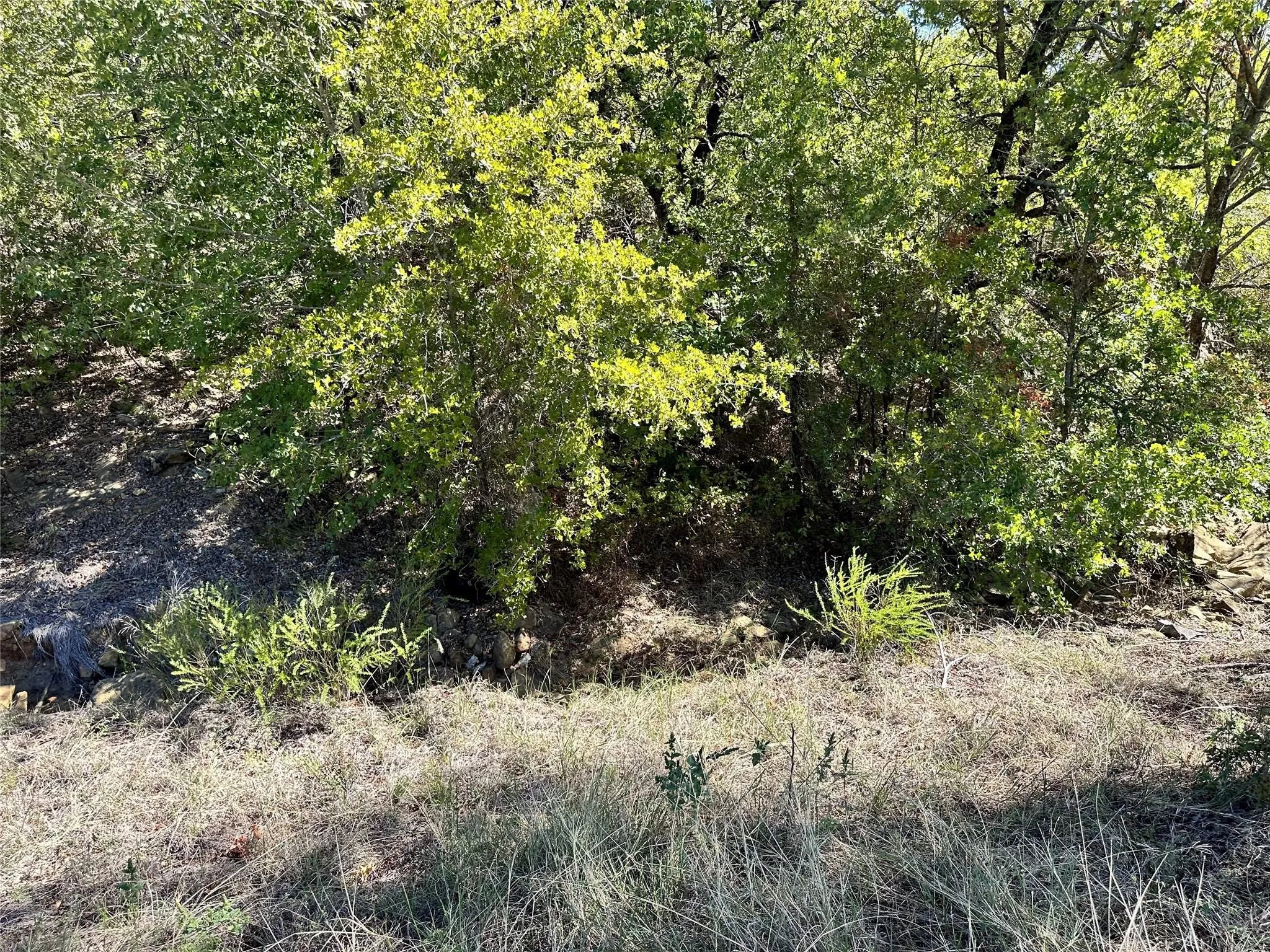 Unimproved Land For Sale in Montague County , TBD1 Ranchview Court, Bowie, Texas 76230, 0, 0, Garage spaces, 0 Sqft, built in 0, mls#21284934, Real Estate Agent in Bowie, Homes For Sale in Montague county, Homes For Sale in Bowie, Realtor in Bowie Texas, Real Estate Brokerage Independent Realty Texas, Luminita Cordes Realtor