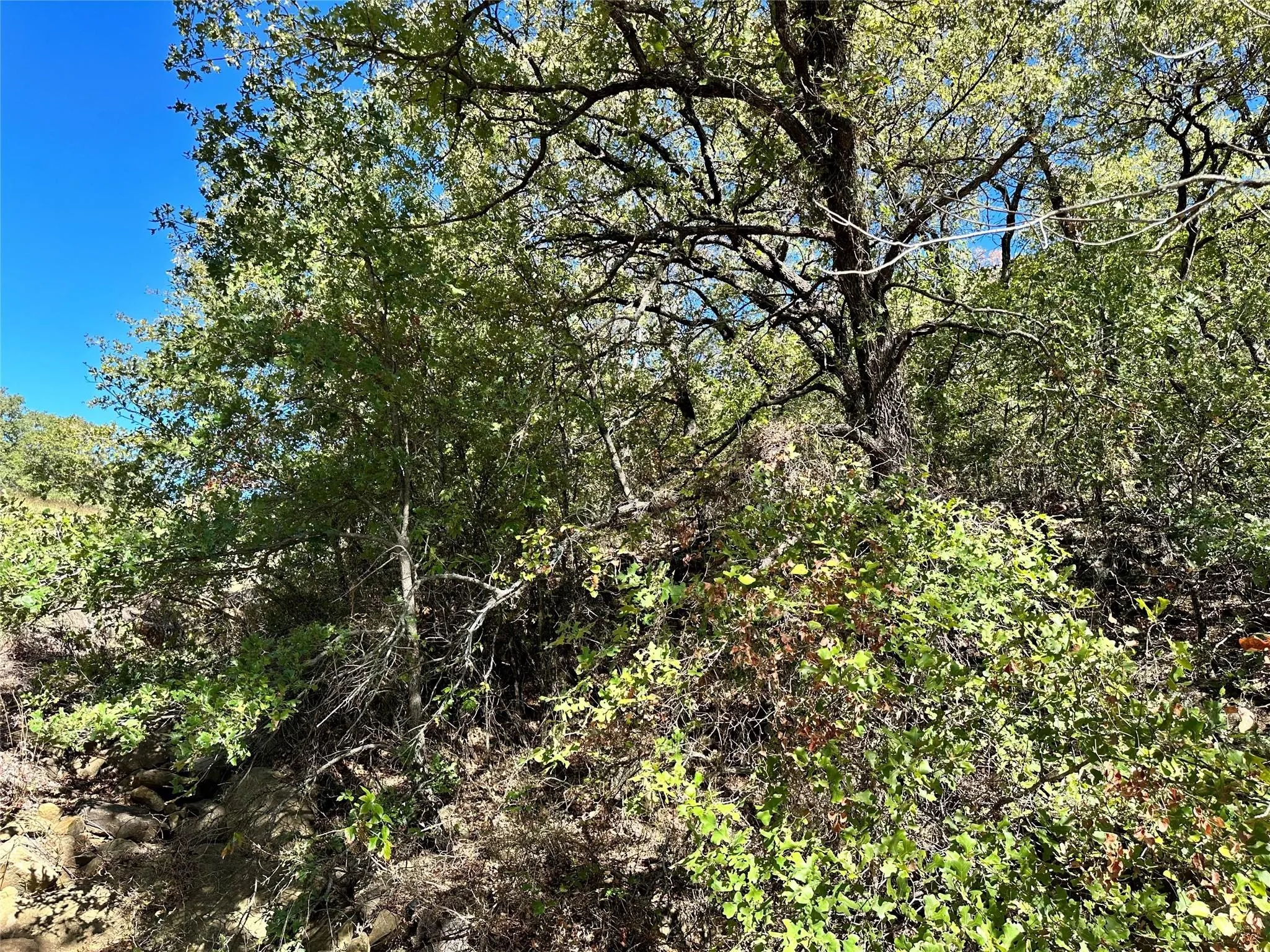 Unimproved Land For Sale in Montague County , TBD1 Ranchview Court, Bowie, Texas 76230, 0, 0, Garage spaces, 0 Sqft, built in 0, mls#21284934, Real Estate Agent in Bowie, Homes For Sale in Montague county, Homes For Sale in Bowie, Realtor in Bowie Texas, Real Estate Brokerage Independent Realty Texas, Luminita Cordes Realtor