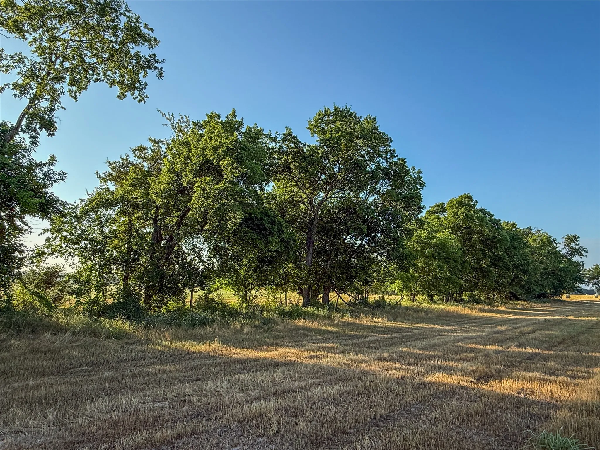 Unimproved Land For Sale in Fannin County , TBD HWY 34, Honey Grove, Texas 75446, 0, 0, Garage spaces, 0 Sqft, built in 0, Price $4,661,200, mls#21284917, Real Estate Agent in Honey Grove, Homes For Sale in Fannin county, Homes For Sale in Honey Grove, Realtor in Honey Grove Texas, Real Estate Brokerage Independent Realty Texas, Luminita Cordes Realtor