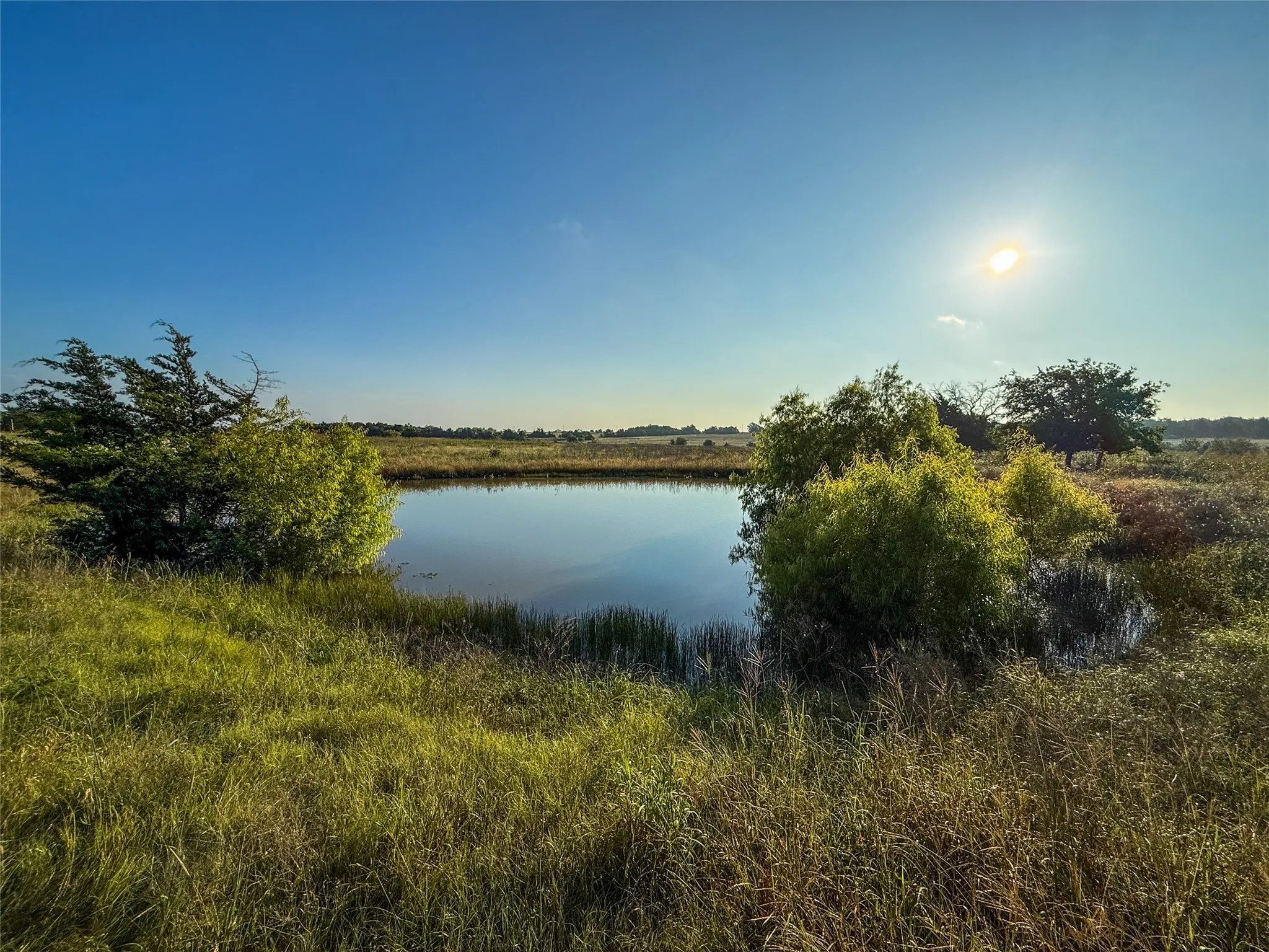 Unimproved Land For Sale in Fannin County , TBD HWY 34, Honey Grove, Texas 75446, 0, 0, Garage spaces, 0 Sqft, built in 0, Price $4,661,200, mls#21284917, Real Estate Agent in Honey Grove, Homes For Sale in Fannin county, Homes For Sale in Honey Grove, Realtor in Honey Grove Texas, Real Estate Brokerage Independent Realty Texas, Luminita Cordes Realtor