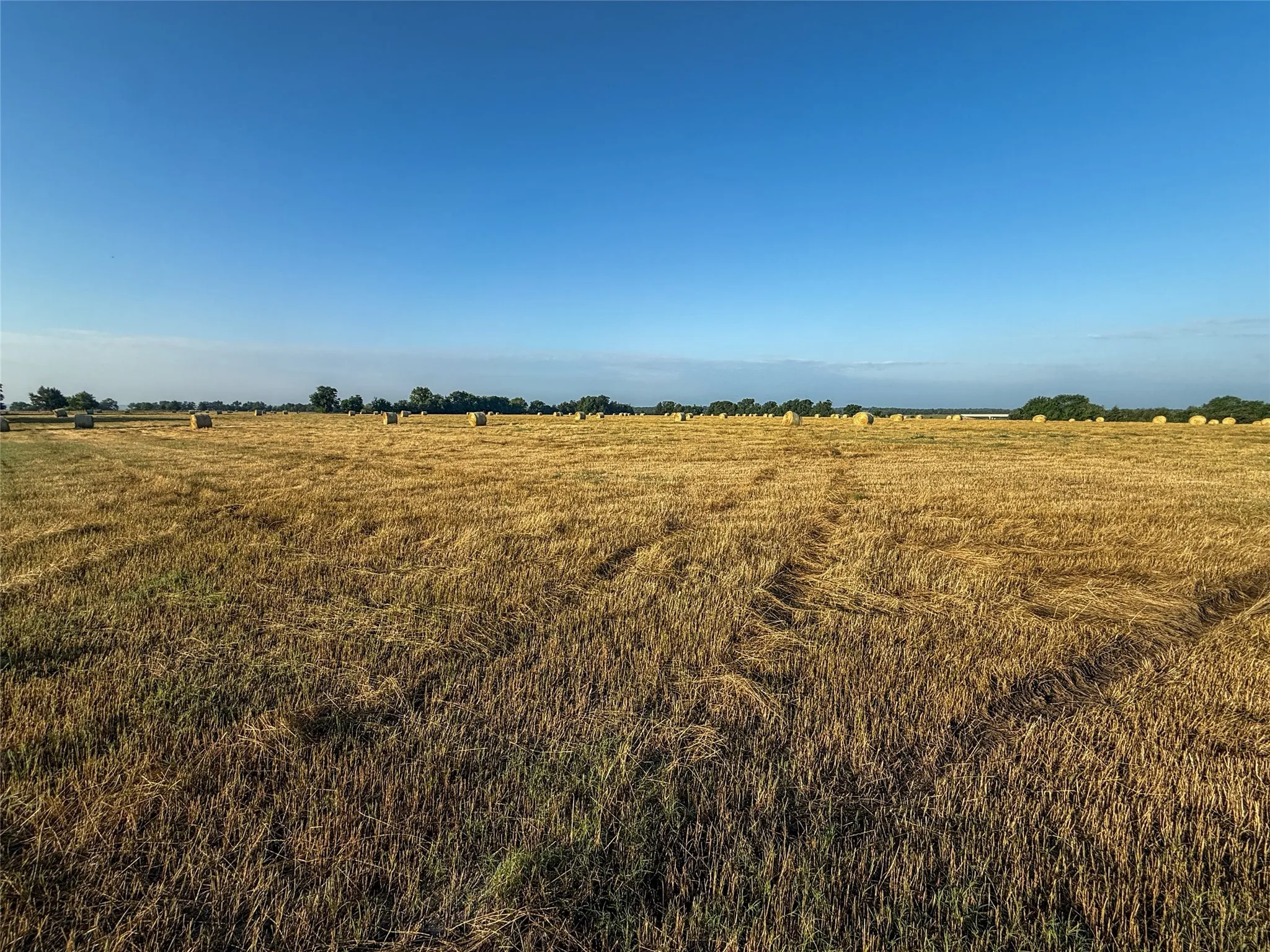 Unimproved Land For Sale in Fannin County , TBD HWY 34, Honey Grove, Texas 75446, 0, 0, Garage spaces, 0 Sqft, built in 0, Price $4,661,200, mls#21284917, Real Estate Agent in Honey Grove, Homes For Sale in Fannin county, Homes For Sale in Honey Grove, Realtor in Honey Grove Texas, Real Estate Brokerage Independent Realty Texas, Luminita Cordes Realtor