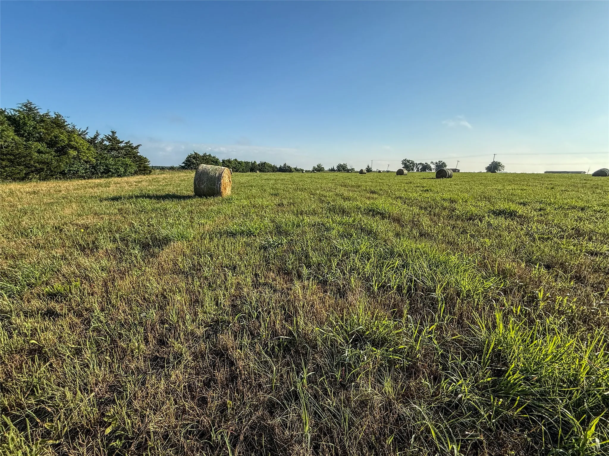 Unimproved Land For Sale in Fannin County , TBD County Road 3444, Honey Grove, Texas 75446, 0, 0, Garage spaces, 0 Sqft, built in 0, Price $476,400, mls#21284938, Real Estate Agent in Honey Grove, Homes For Sale in Fannin county, Homes For Sale in Honey Grove, Realtor in Honey Grove Texas, Real Estate Brokerage Independent Realty Texas, Luminita Cordes Realtor