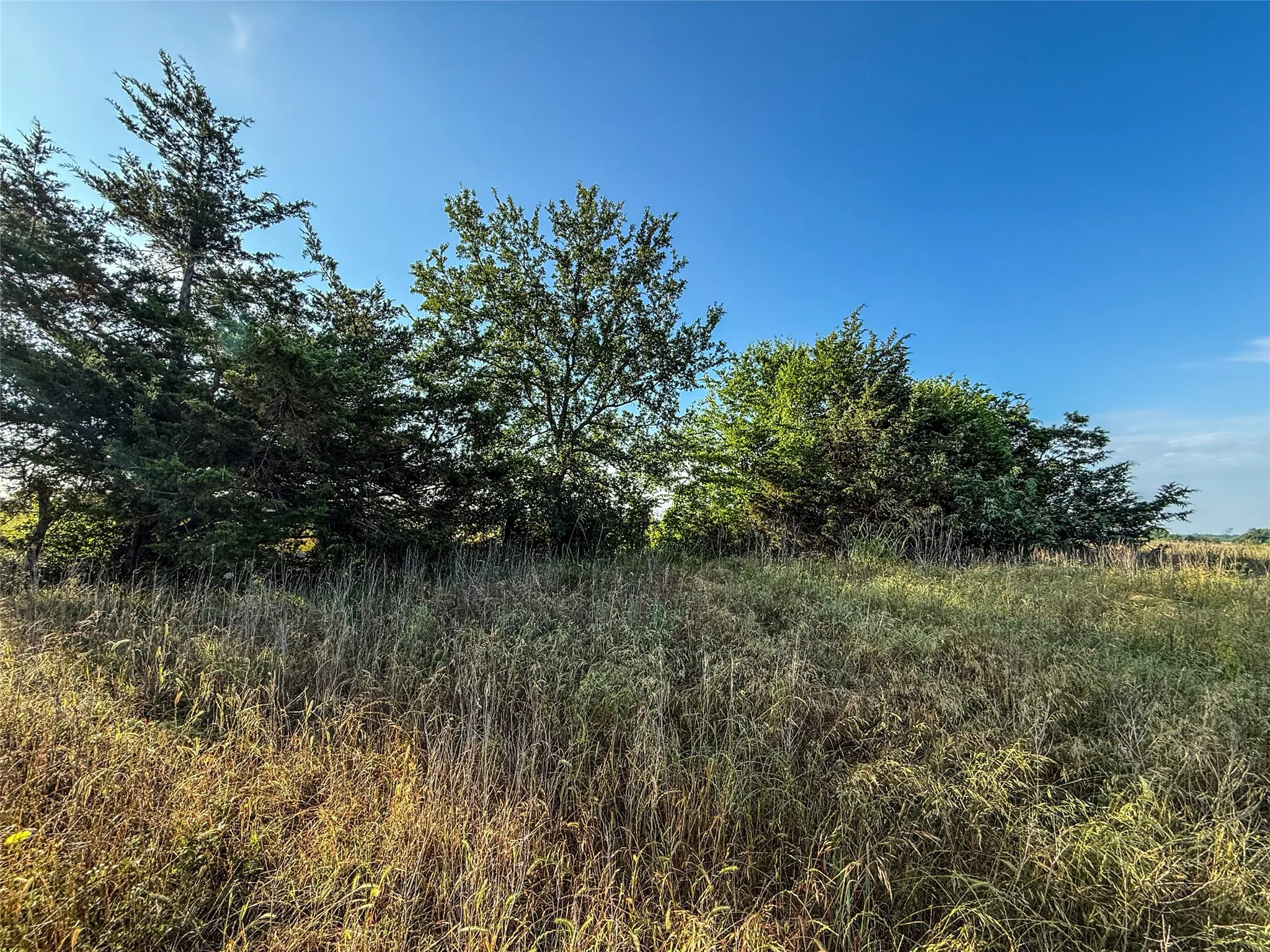 Unimproved Land For Sale in Fannin County , TBD County Road 3444, Honey Grove, Texas 75446, 0, 0, Garage spaces, 0 Sqft, built in 0, Price $476,400, mls#21284938, Real Estate Agent in Honey Grove, Homes For Sale in Fannin county, Homes For Sale in Honey Grove, Realtor in Honey Grove Texas, Real Estate Brokerage Independent Realty Texas, Luminita Cordes Realtor