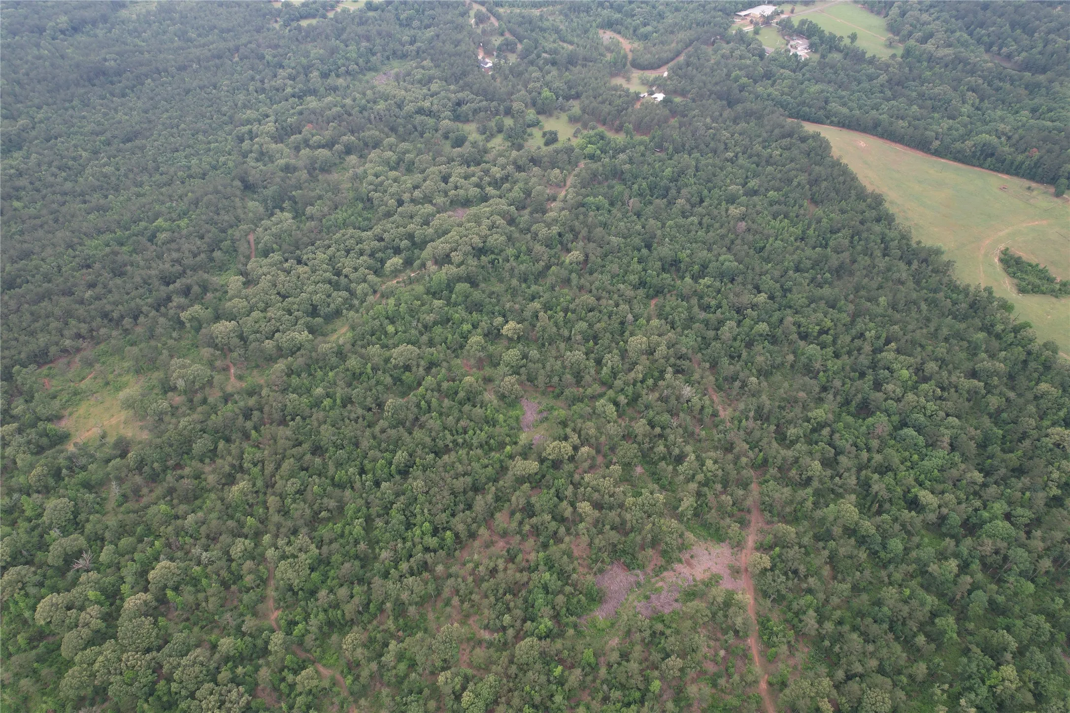 Unimproved Land For Sale in Rusk County , TBD County Road 461, Laneville, Texas 75667, 0, 0, Garage spaces, 0 Sqft, built in 0, Price $497,025, mls#21284962, Real Estate Agent in Laneville, Homes For Sale in Rusk county, Homes For Sale in Laneville, Realtor in Laneville Texas, Real Estate Brokerage Independent Realty Texas, Luminita Cordes Realtor