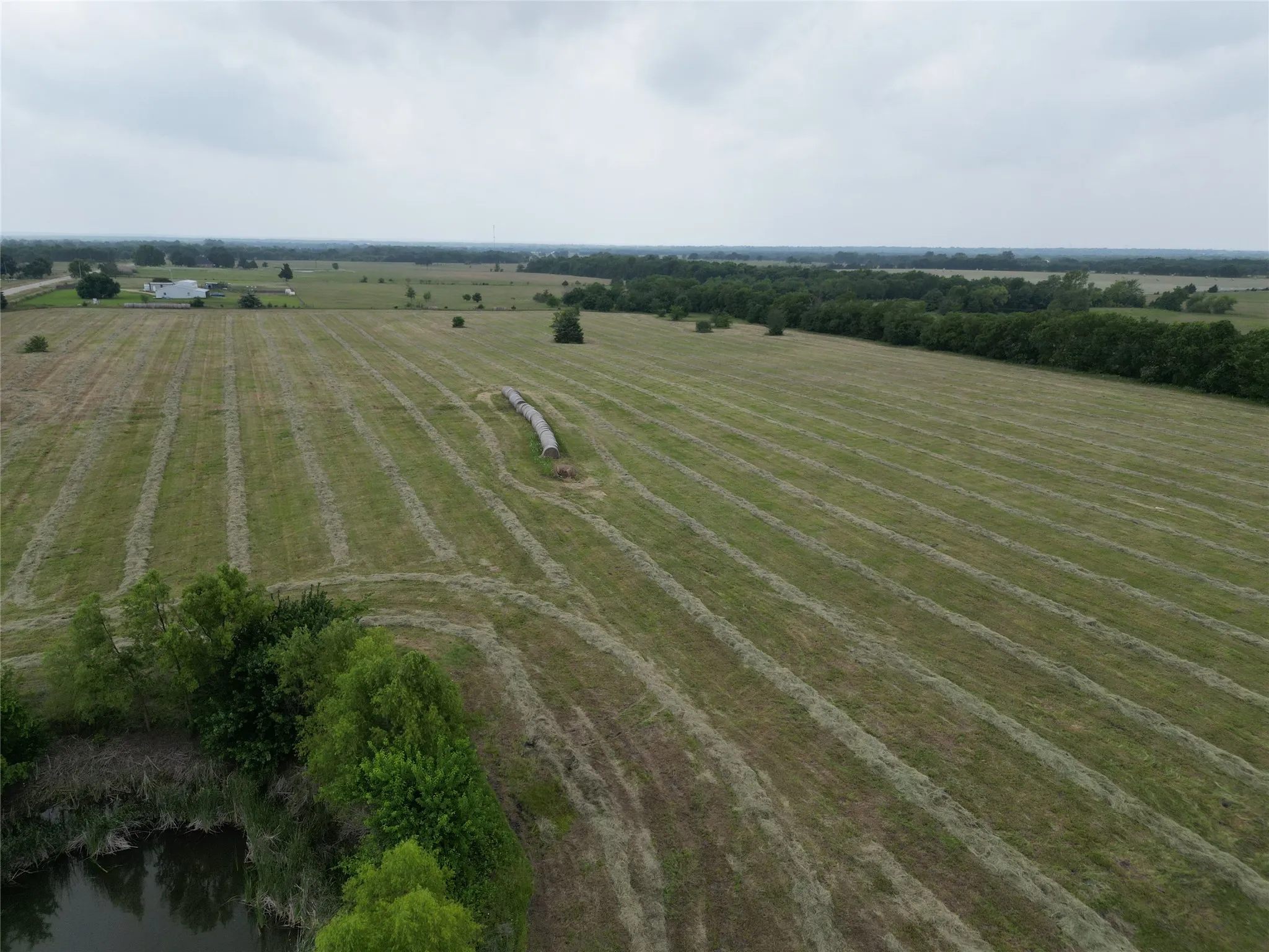 Unimproved Land For Sale in Delta County , 10 ac FM 2716, Cooper, Texas 75432, 0, 0, Garage spaces, 0 Sqft, built in 0, Price $190,760, mls#21284987, Real Estate Agent in Cooper, Homes For Sale in Delta county, Homes For Sale in Cooper, Realtor in Cooper Texas, Real Estate Brokerage Independent Realty Texas, Luminita Cordes Realtor