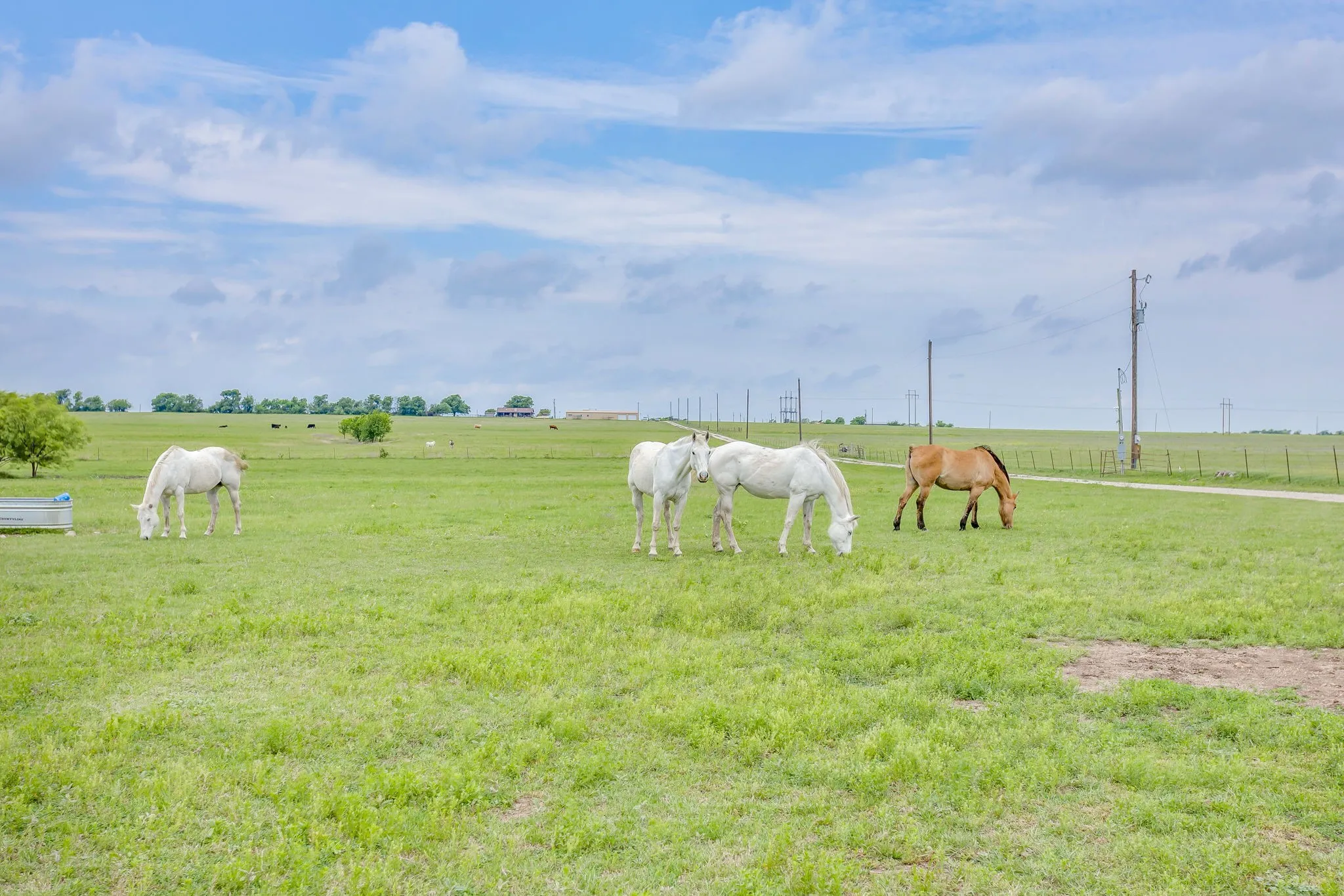 Farm For Sale in Parker County , 5660 Upper Denton Road, Weatherford, Texas 76085, 1 Bedroom, 1 Bathroom, Garage spaces, 1,200 Sqft, built in 1985, Price $8,150,000, mls#21283163, Real Estate Agent in Weatherford, Homes For Sale in Parker county, Homes For Sale in Weatherford, Realtor in Weatherford Texas, Real Estate Brokerage Independent Realty Texas, Luminita Cordes Realtor