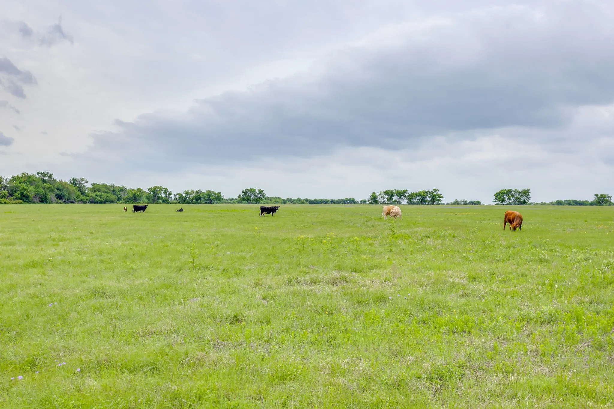 Farm For Sale in Parker County , 5660 Upper Denton Road, Weatherford, Texas 76085, 1 Bedroom, 1 Bathroom, Garage spaces, 1,200 Sqft, built in 1985, Price $8,150,000, mls#21283163, Real Estate Agent in Weatherford, Homes For Sale in Parker county, Homes For Sale in Weatherford, Realtor in Weatherford Texas, Real Estate Brokerage Independent Realty Texas, Luminita Cordes Realtor