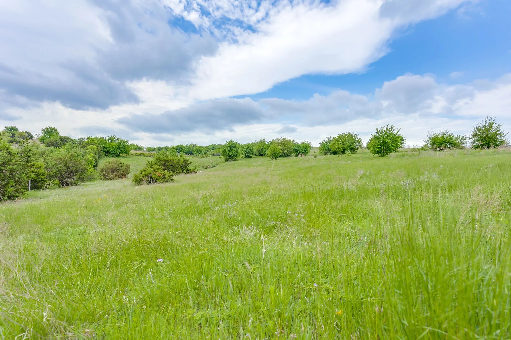 Farm For Sale in Parker County , 5660 Upper Denton Road, Weatherford, Texas 76085, 1 Bedroom, 1 Bathroom, Garage spaces, 1,200 Sqft, built in 1985, Price $8,150,000, mls#21283163, Real Estate Agent in Weatherford, Homes For Sale in Parker county, Homes For Sale in Weatherford, Realtor in Weatherford Texas, Real Estate Brokerage Independent Realty Texas, Luminita Cordes Realtor