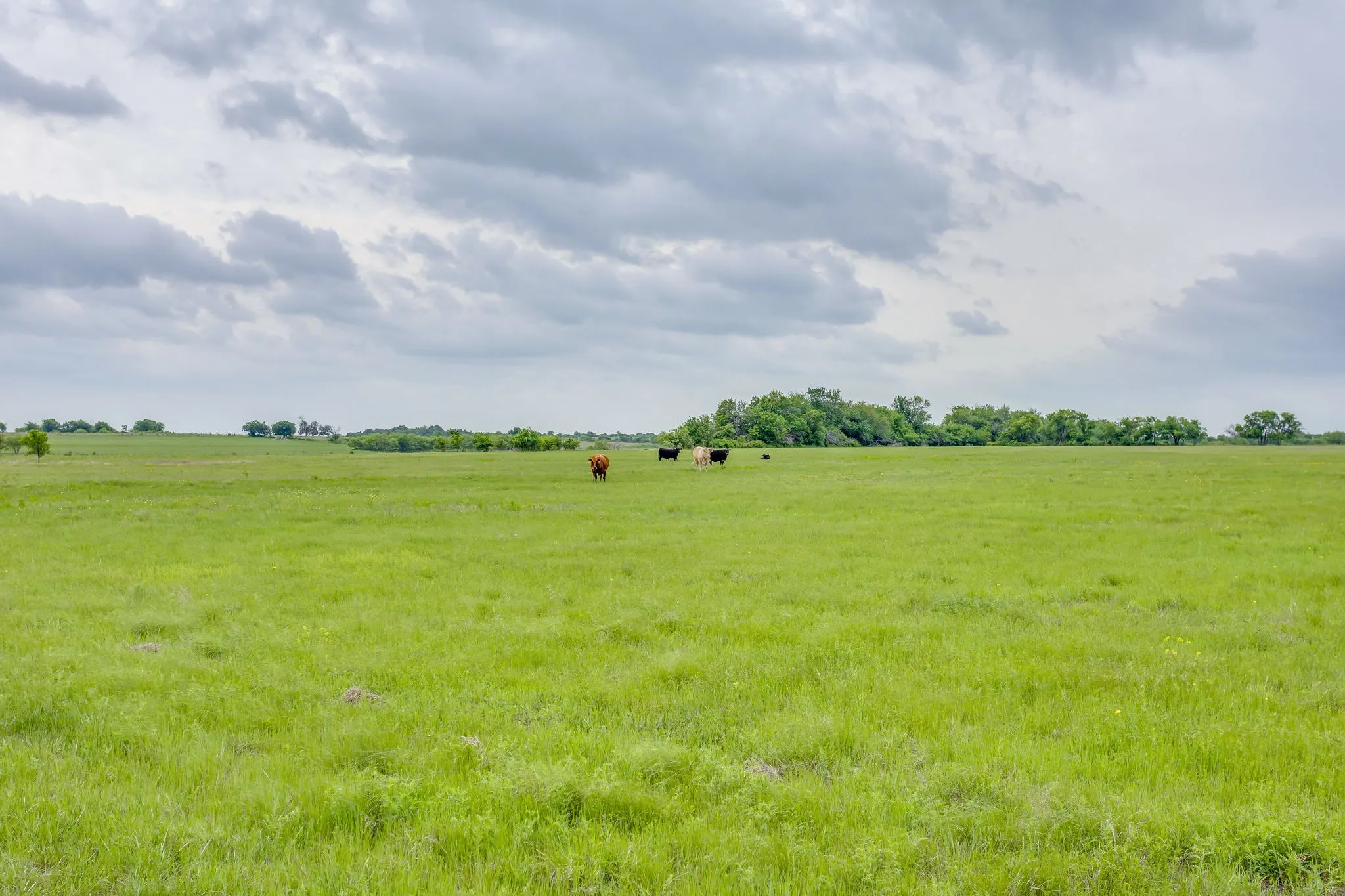 Farm For Sale in Parker County , 5660 Upper Denton Road, Weatherford, Texas 76085, 1 Bedroom, 1 Bathroom, Garage spaces, 1,200 Sqft, built in 1985, Price $8,150,000, mls#21283163, Real Estate Agent in Weatherford, Homes For Sale in Parker county, Homes For Sale in Weatherford, Realtor in Weatherford Texas, Real Estate Brokerage Independent Realty Texas, Luminita Cordes Realtor