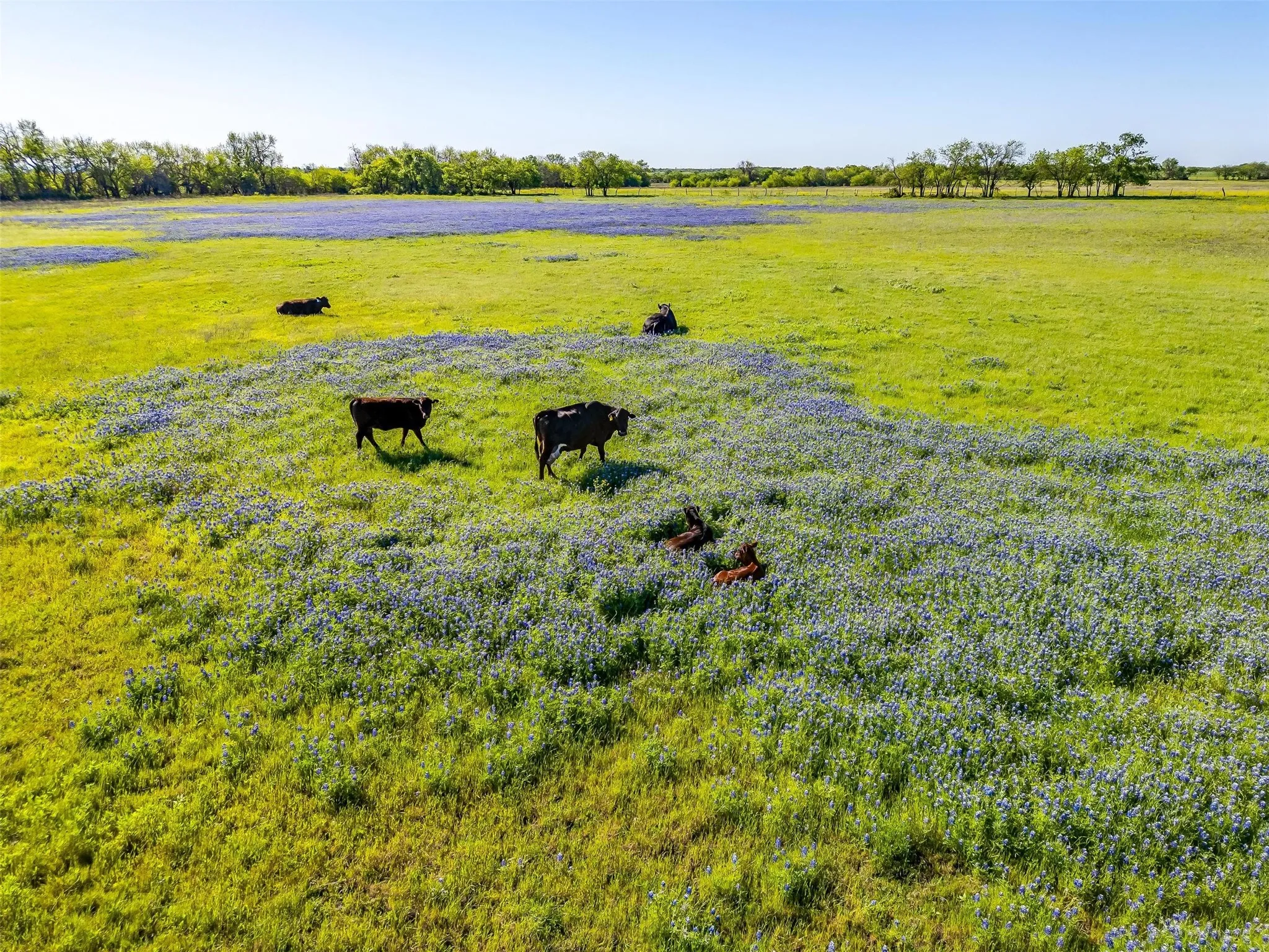 Farm For Sale in Parker County , 5660 Upper Denton Road, Weatherford, Texas 76085, 1 Bedroom, 1 Bathroom, Garage spaces, 1,200 Sqft, built in 1985, Price $8,150,000, mls#21283163, Real Estate Agent in Weatherford, Homes For Sale in Parker county, Homes For Sale in Weatherford, Realtor in Weatherford Texas, Real Estate Brokerage Independent Realty Texas, Luminita Cordes Realtor