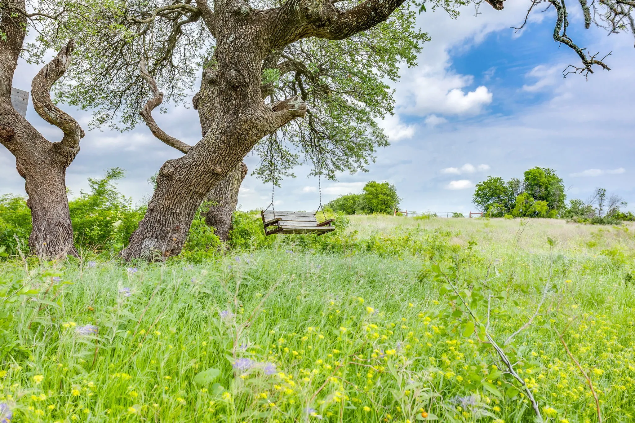 Farm For Sale in Parker County , 5660 Upper Denton Road, Weatherford, Texas 76085, 1 Bedroom, 1 Bathroom, Garage spaces, 1,200 Sqft, built in 1985, Price $8,150,000, mls#21283163, Real Estate Agent in Weatherford, Homes For Sale in Parker county, Homes For Sale in Weatherford, Realtor in Weatherford Texas, Real Estate Brokerage Independent Realty Texas, Luminita Cordes Realtor