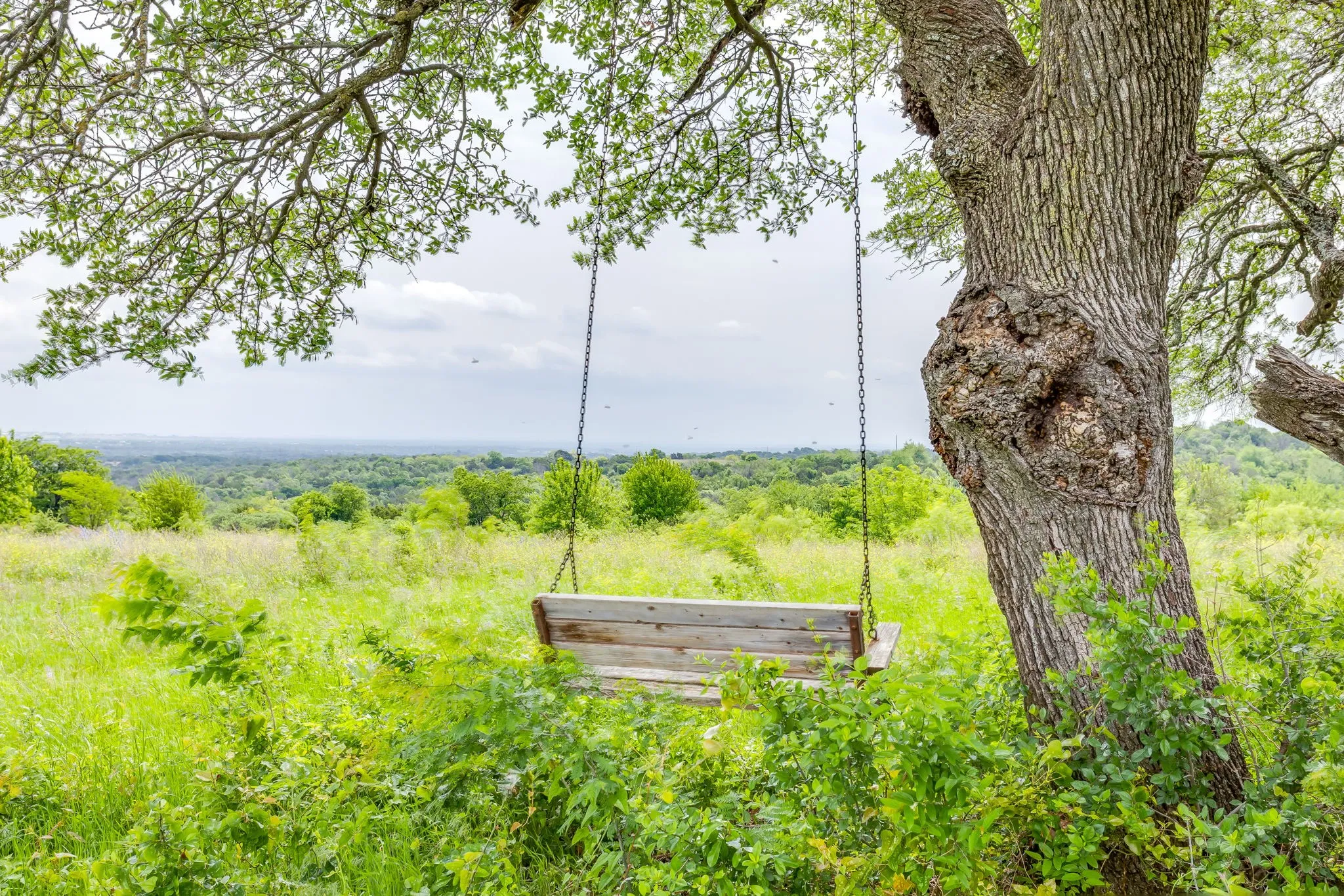 Farm For Sale in Parker County , 5660 Upper Denton Road, Weatherford, Texas 76085, 1 Bedroom, 1 Bathroom, Garage spaces, 1,200 Sqft, built in 1985, Price $8,150,000, mls#21283163, Real Estate Agent in Weatherford, Homes For Sale in Parker county, Homes For Sale in Weatherford, Realtor in Weatherford Texas, Real Estate Brokerage Independent Realty Texas, Luminita Cordes Realtor