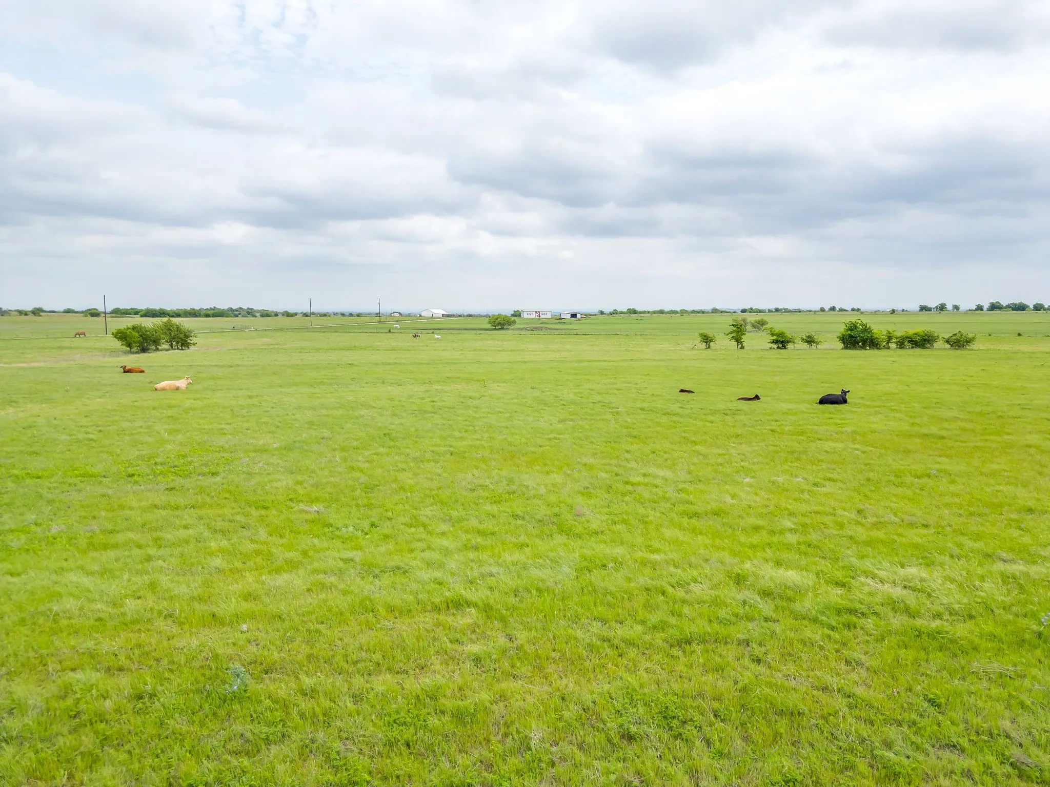 Farm For Sale in Parker County , 5660 Upper Denton Road, Weatherford, Texas 76085, 1 Bedroom, 1 Bathroom, Garage spaces, 1,200 Sqft, built in 1985, Price $8,150,000, mls#21283163, Real Estate Agent in Weatherford, Homes For Sale in Parker county, Homes For Sale in Weatherford, Realtor in Weatherford Texas, Real Estate Brokerage Independent Realty Texas, Luminita Cordes Realtor