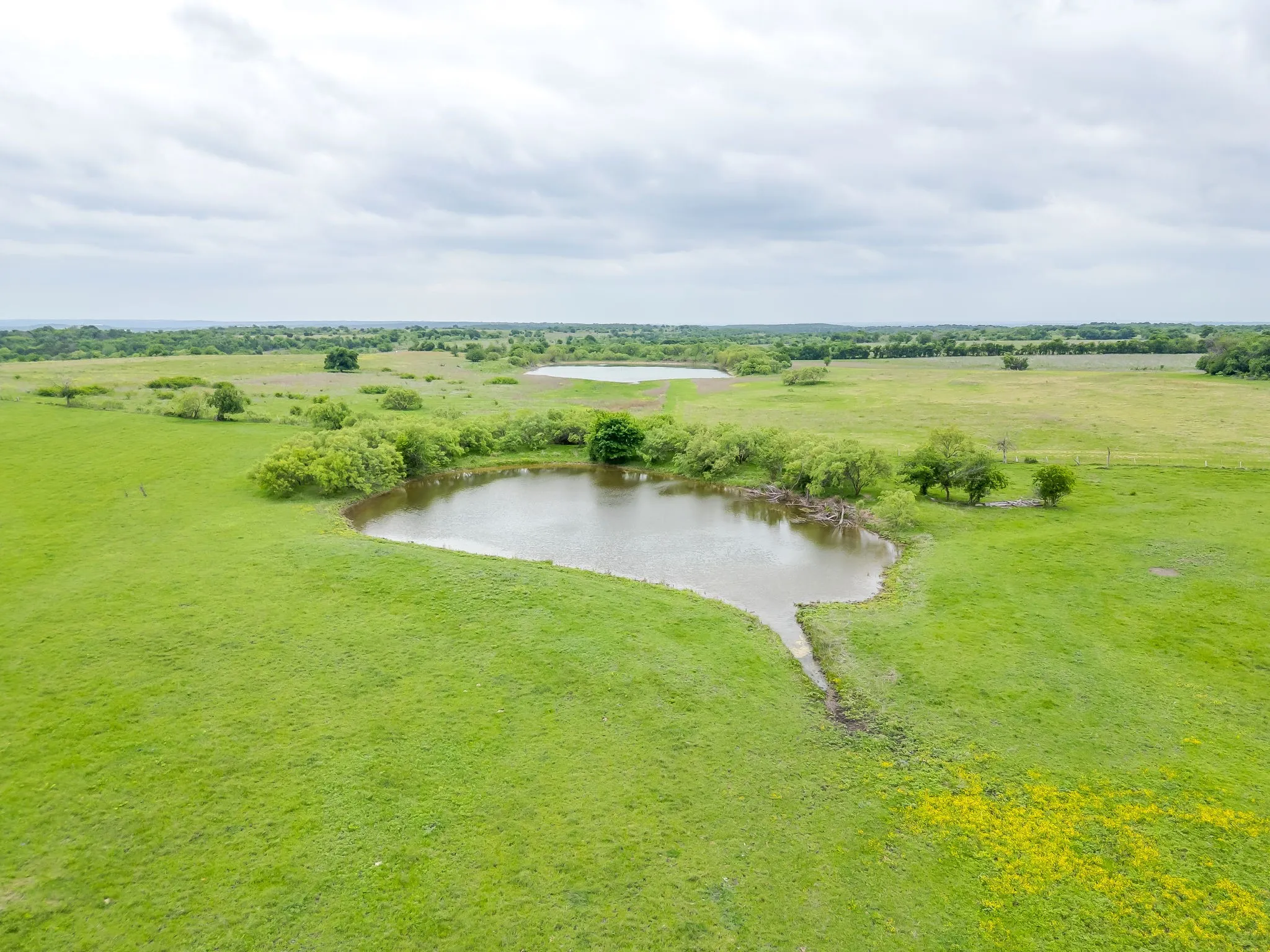 Farm For Sale in Parker County , 5660 Upper Denton Road, Weatherford, Texas 76085, 1 Bedroom, 1 Bathroom, Garage spaces, 1,200 Sqft, built in 1985, Price $8,150,000, mls#21283163, Real Estate Agent in Weatherford, Homes For Sale in Parker county, Homes For Sale in Weatherford, Realtor in Weatherford Texas, Real Estate Brokerage Independent Realty Texas, Luminita Cordes Realtor