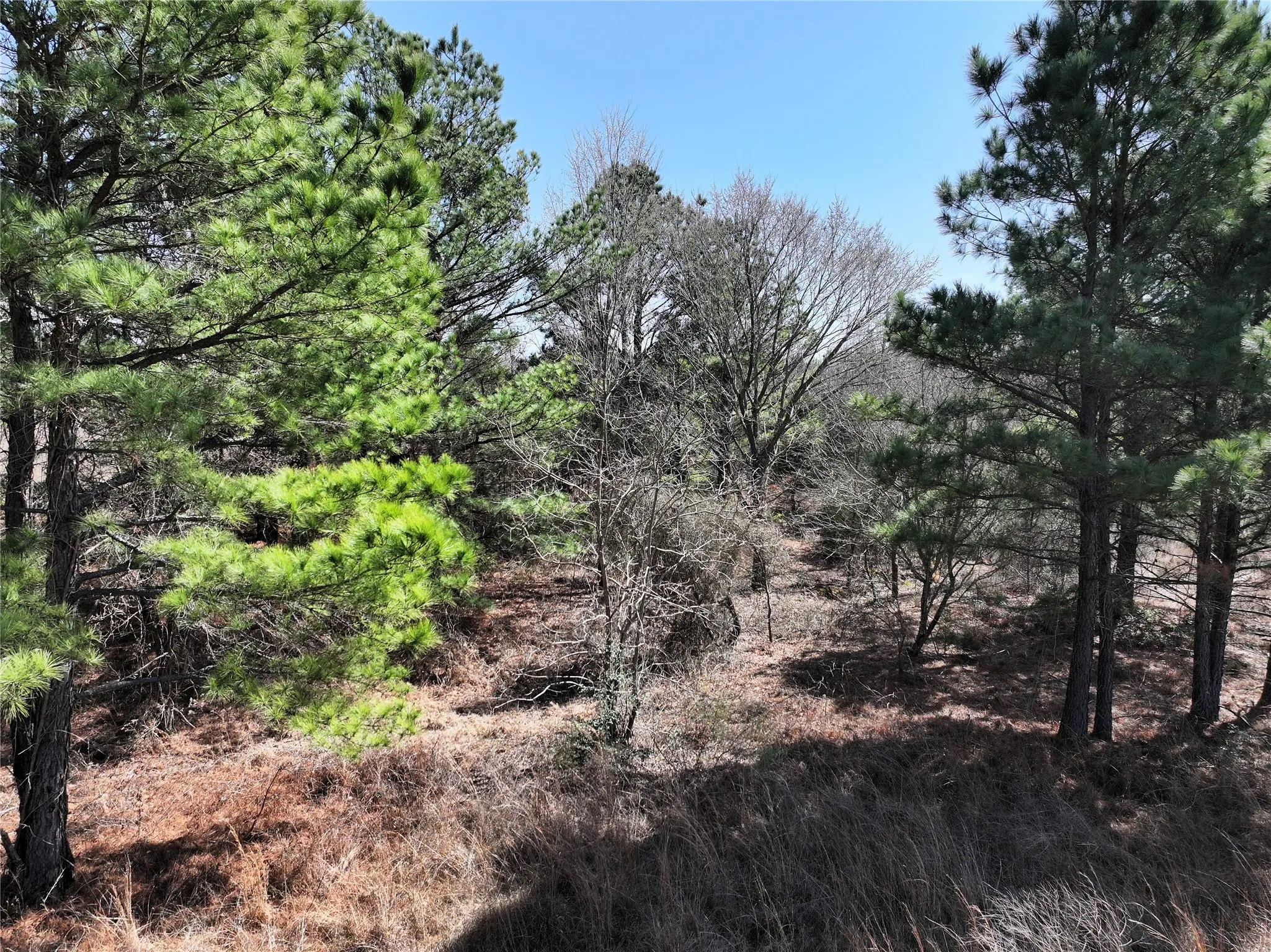 Unimproved Land For Sale in Van Zandt County , 3843 Fm 1256, Eustace, Texas 75124, 0, 0, Garage spaces, 0 Sqft, built in 0, mls#21285050, Real Estate Agent in Eustace, Homes For Sale in Van Zandt county, Homes For Sale in Eustace, Realtor in Eustace Texas, Real Estate Brokerage Independent Realty Texas, Luminita Cordes Realtor