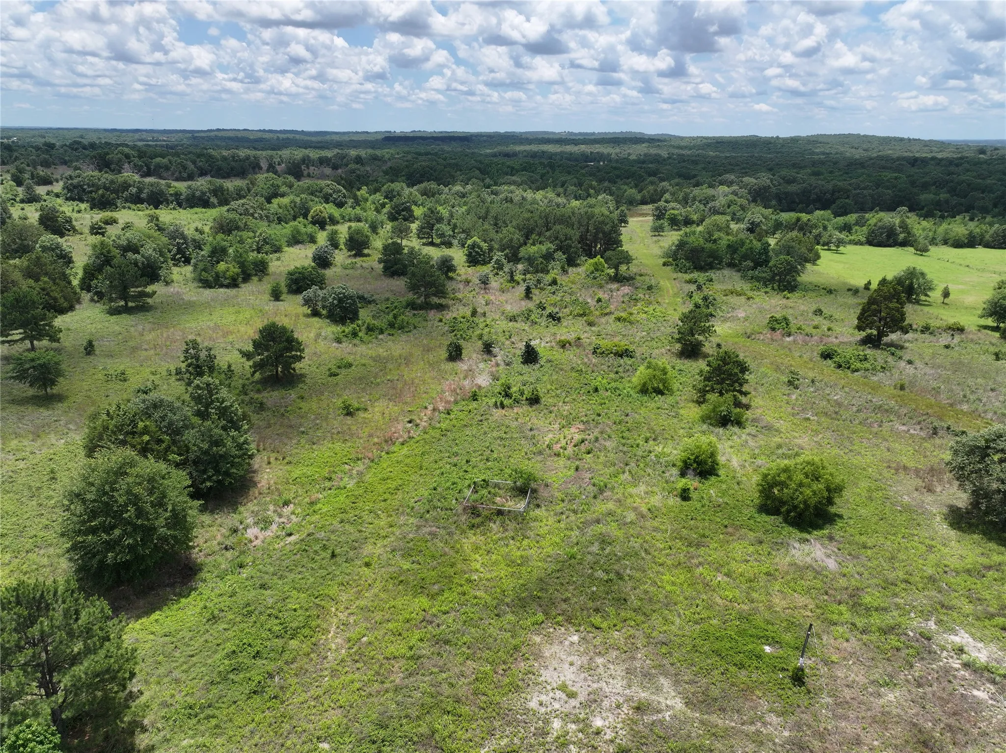Unimproved Land For Sale in Van Zandt County , 3843 Fm 1256, Eustace, Texas 75124, 0, 0, Garage spaces, 0 Sqft, built in 0, mls#21285050, Real Estate Agent in Eustace, Homes For Sale in Van Zandt county, Homes For Sale in Eustace, Realtor in Eustace Texas, Real Estate Brokerage Independent Realty Texas, Luminita Cordes Realtor