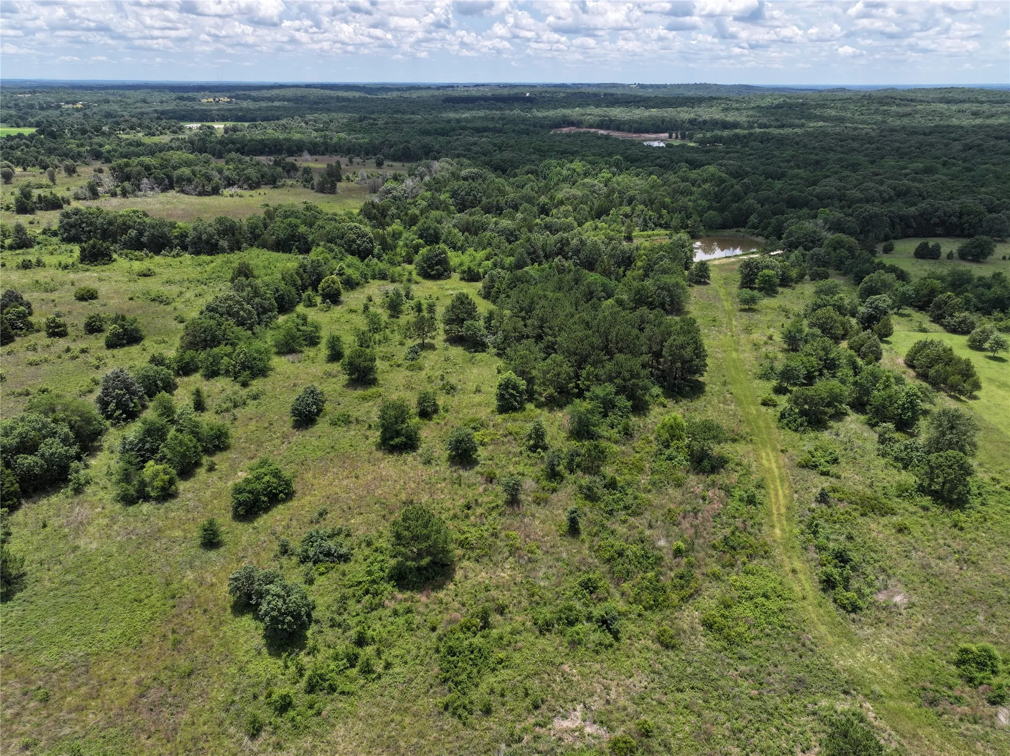 Unimproved Land For Sale in Van Zandt County , 3843 Fm 1256, Eustace, Texas 75124, 0, 0, Garage spaces, 0 Sqft, built in 0, mls#21285050, Real Estate Agent in Eustace, Homes For Sale in Van Zandt county, Homes For Sale in Eustace, Realtor in Eustace Texas, Real Estate Brokerage Independent Realty Texas, Luminita Cordes Realtor