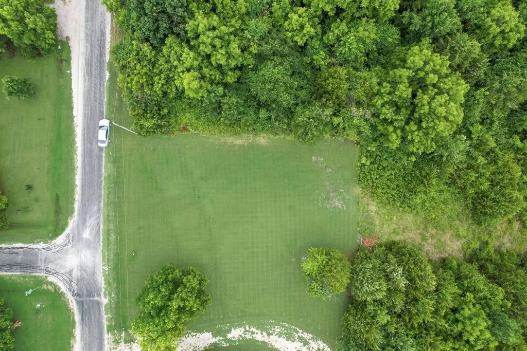 Unimproved Land For Sale in Collin County , 0 County Road 1053, Farmersville, Texas 75442, 0, 0, Garage spaces, 0 Sqft, built in 0, Price $235,000, mls#21285027, Real Estate Agent in Farmersville, Homes For Sale in Collin county, Homes For Sale in Farmersville, Realtor in Farmersville Texas, Real Estate Brokerage Independent Realty Texas, Luminita Cordes Realtor
