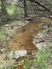 Unimproved Land For Sale in Somervell County , 1083 Cedar Hill Drive, Nemo, Texas 76070, 0, 0, Garage spaces, 0 Sqft, built in 0, Price $49,900, mls#21284441, Real Estate Agent in Nemo, Homes For Sale in Somervell county, Homes For Sale in Nemo, Realtor in Nemo Texas, Real Estate Brokerage Independent Realty Texas, Luminita Cordes Realtor