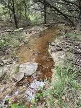 Unimproved Land For Sale in Somervell County , 1083 Cedar Hill Drive, Nemo, Texas 76070, 0, 0, Garage spaces, 0 Sqft, built in 0, Price $49,900, mls#21284441, Real Estate Agent in Nemo, Homes For Sale in Somervell county, Homes For Sale in Nemo, Realtor in Nemo Texas, Real Estate Brokerage Independent Realty Texas, Luminita Cordes Realtor