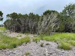 Unimproved Land For Sale in Somervell County , 1083 Cedar Hill Drive, Nemo, Texas 76070, 0, 0, Garage spaces, 0 Sqft, built in 0, Price $49,900, mls#21284441, Real Estate Agent in Nemo, Homes For Sale in Somervell county, Homes For Sale in Nemo, Realtor in Nemo Texas, Real Estate Brokerage Independent Realty Texas, Luminita Cordes Realtor