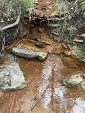 Unimproved Land For Sale in Somervell County , 1083 Cedar Hill Drive, Nemo, Texas 76070, 0, 0, Garage spaces, 0 Sqft, built in 0, Price $49,900, mls#21284441, Real Estate Agent in Nemo, Homes For Sale in Somervell county, Homes For Sale in Nemo, Realtor in Nemo Texas, Real Estate Brokerage Independent Realty Texas, Luminita Cordes Realtor